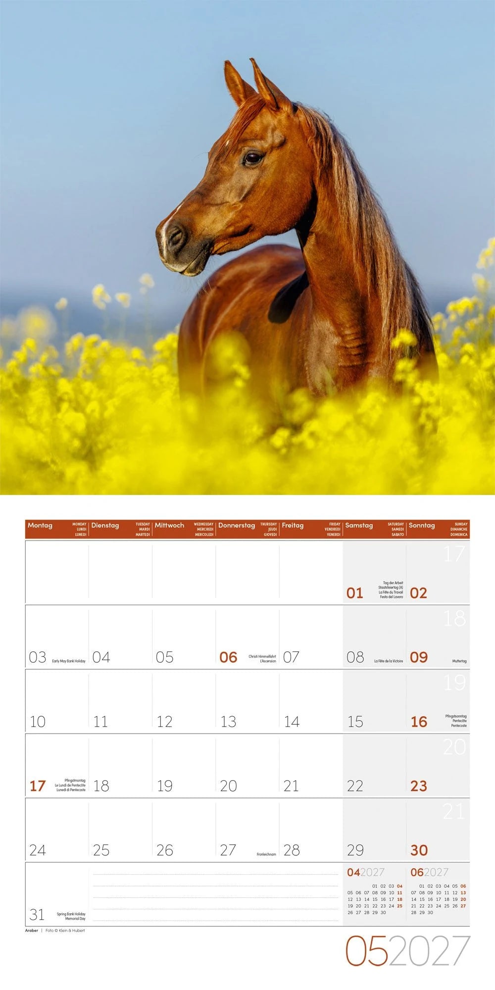 Pferde Kalender 2027 - 30x30 - Art12 – Ansicht