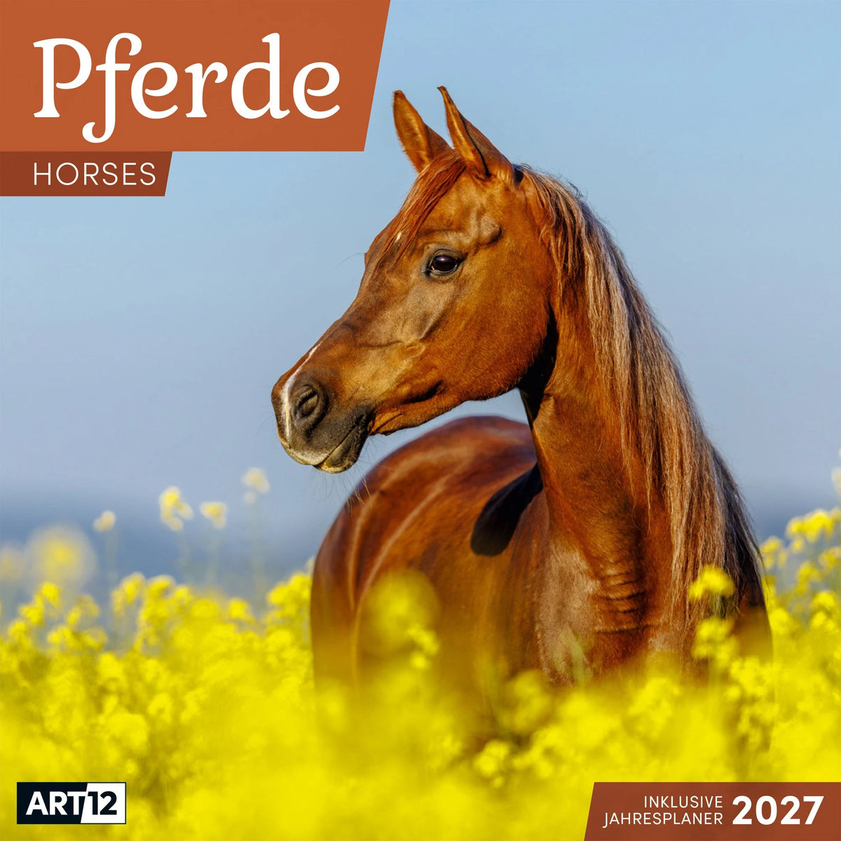 Wandkalender: Pferde Kalender 2027 - 30x30 - Art12