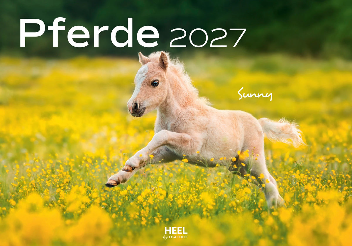 Wandkalender: Pferde Kalender 2027 Wandkalender