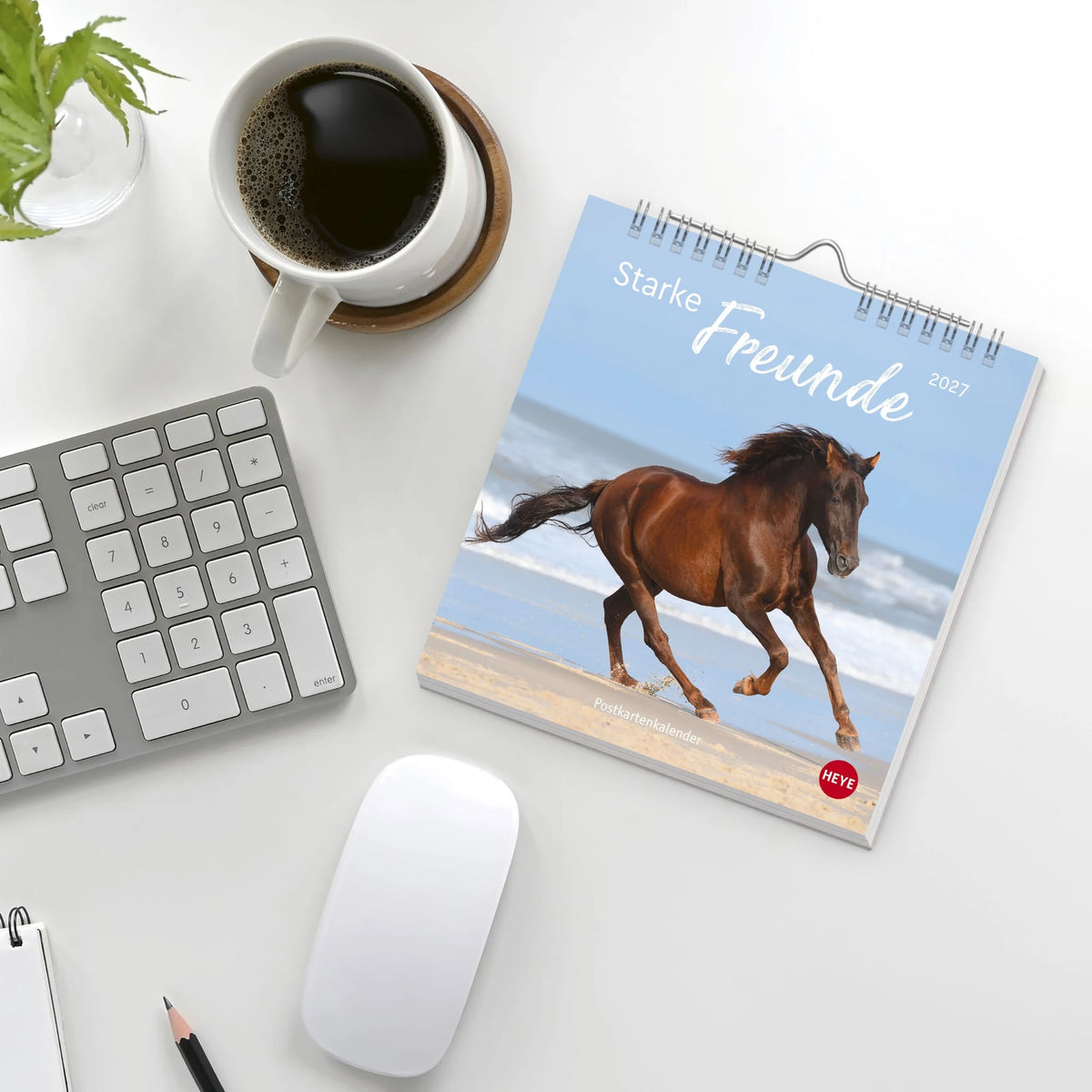 Pferde Postkartenkalender 2027 - Starke Freunde – Ansicht