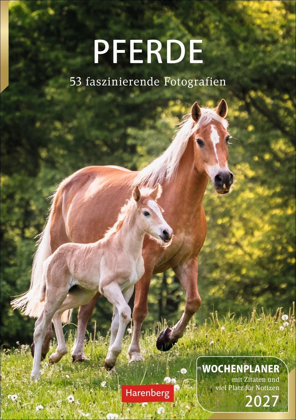 Taschenkalender: Pferde Wochenplaner 2027 - 53 faszinierende Fotografien