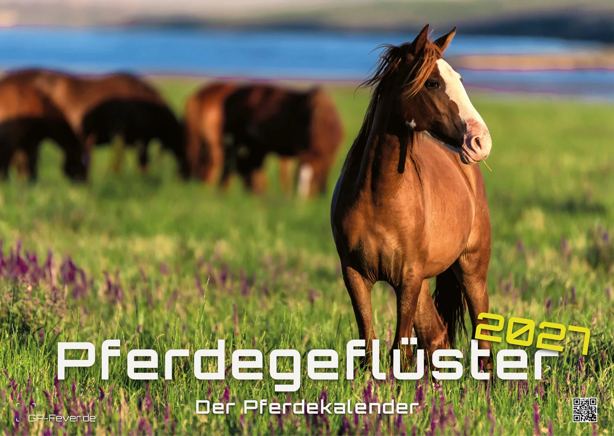 Wandkalender: Pferdegeflüster - Der Pferdekalender - 2027 - Kalender DIN A3