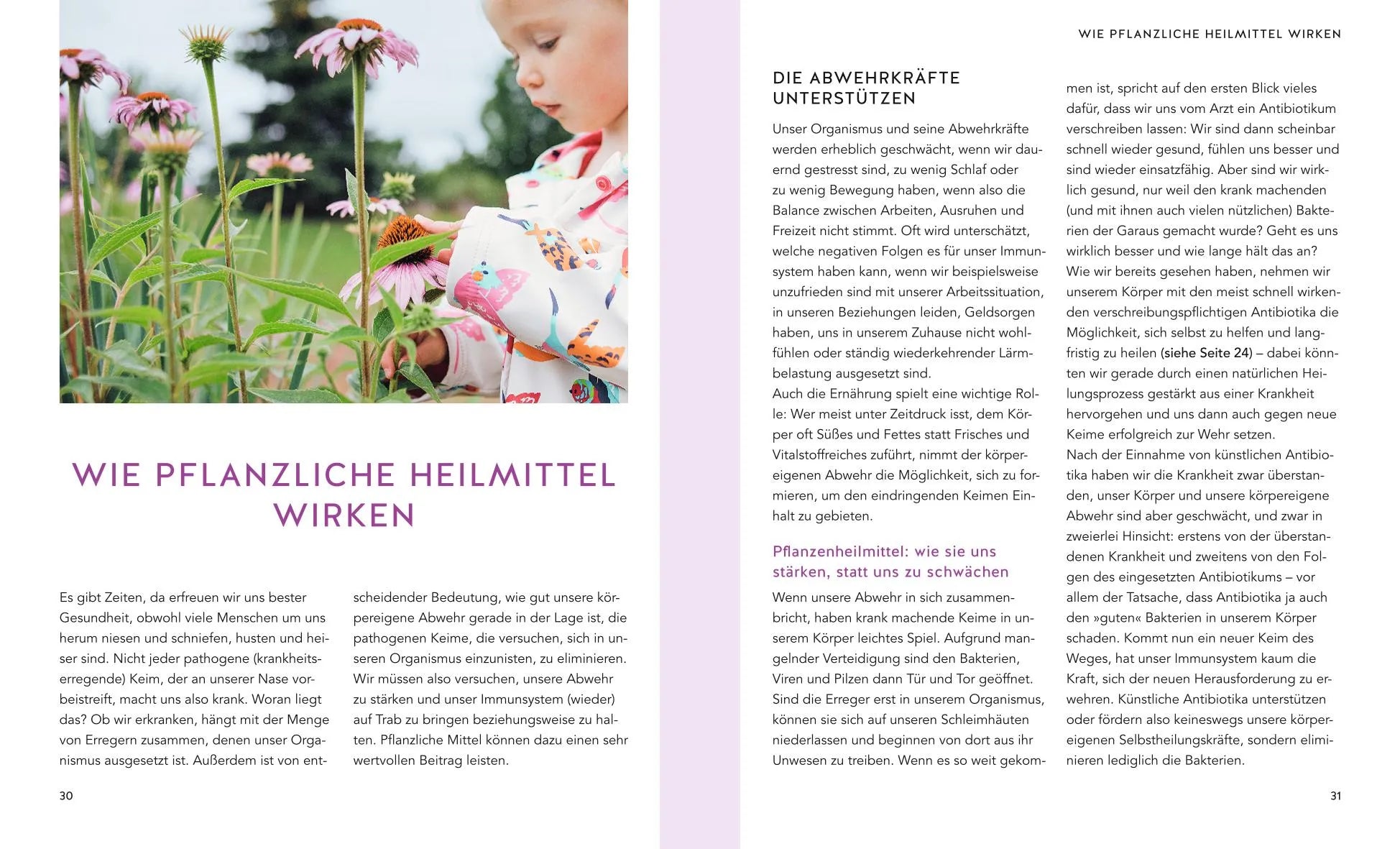 Produktansicht: Pflanzliche Antibiotika (Taschenbuch)