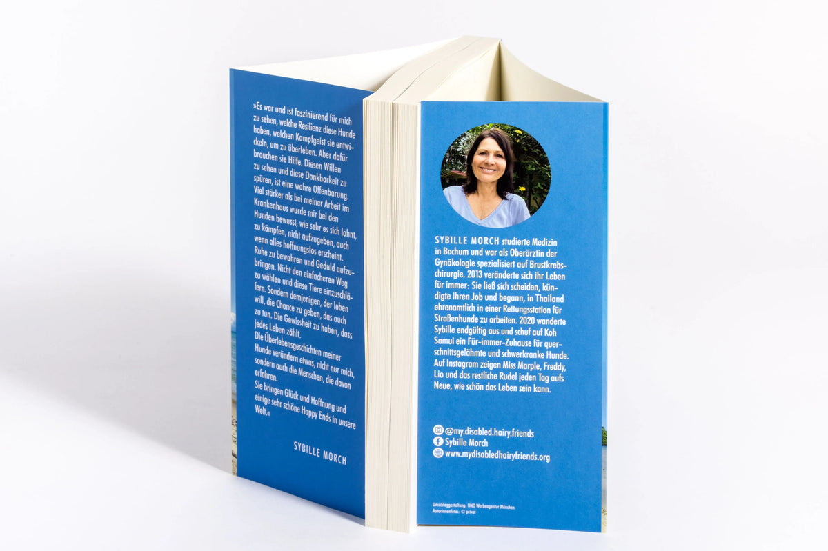 Detailansicht: Pfoten im Sand (Paperback)