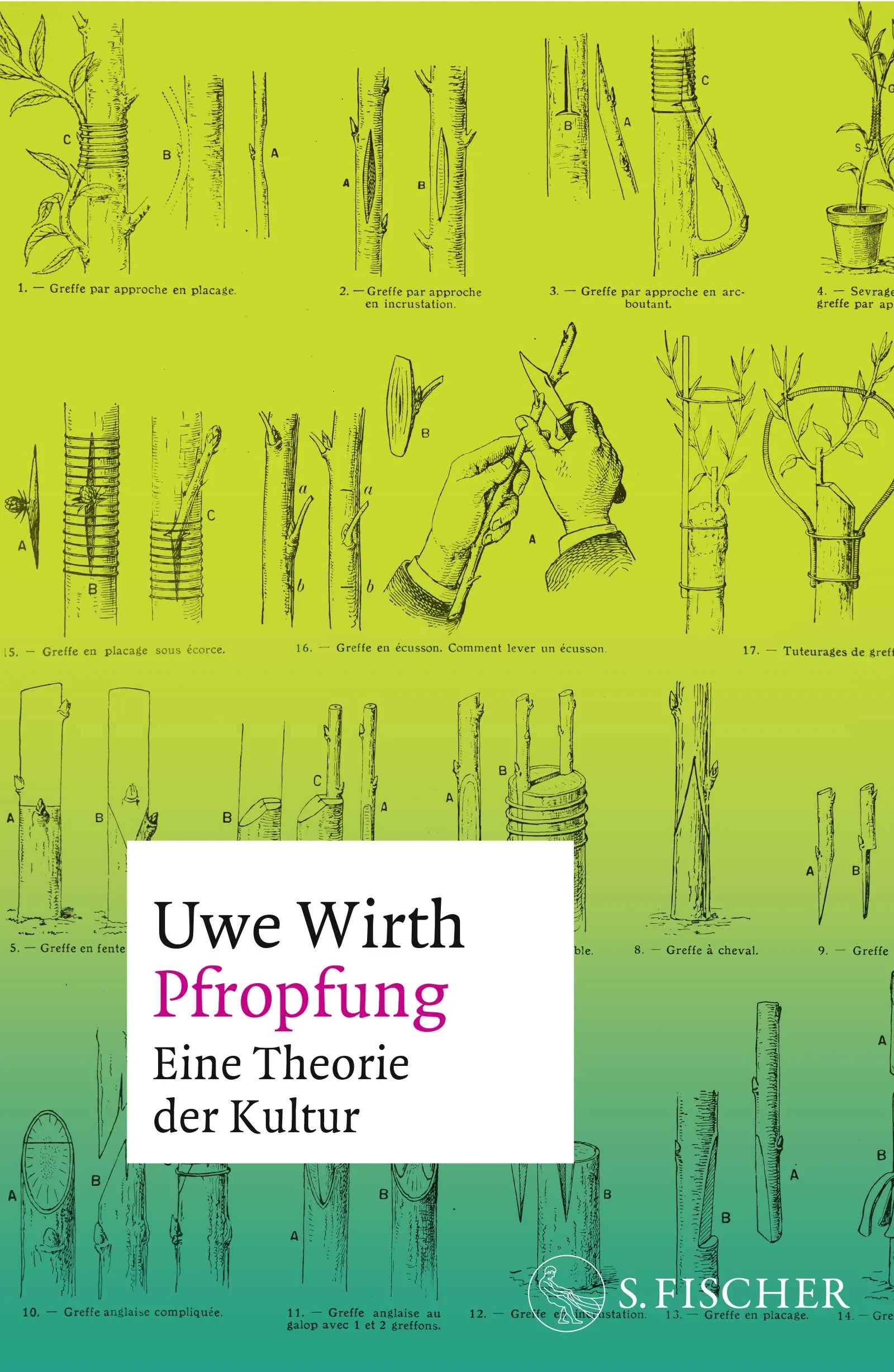 Buchcover von 'Pfropfung – Eine Theorie der Kultur' - Gebundene Ausgabe von Uwe Wirth