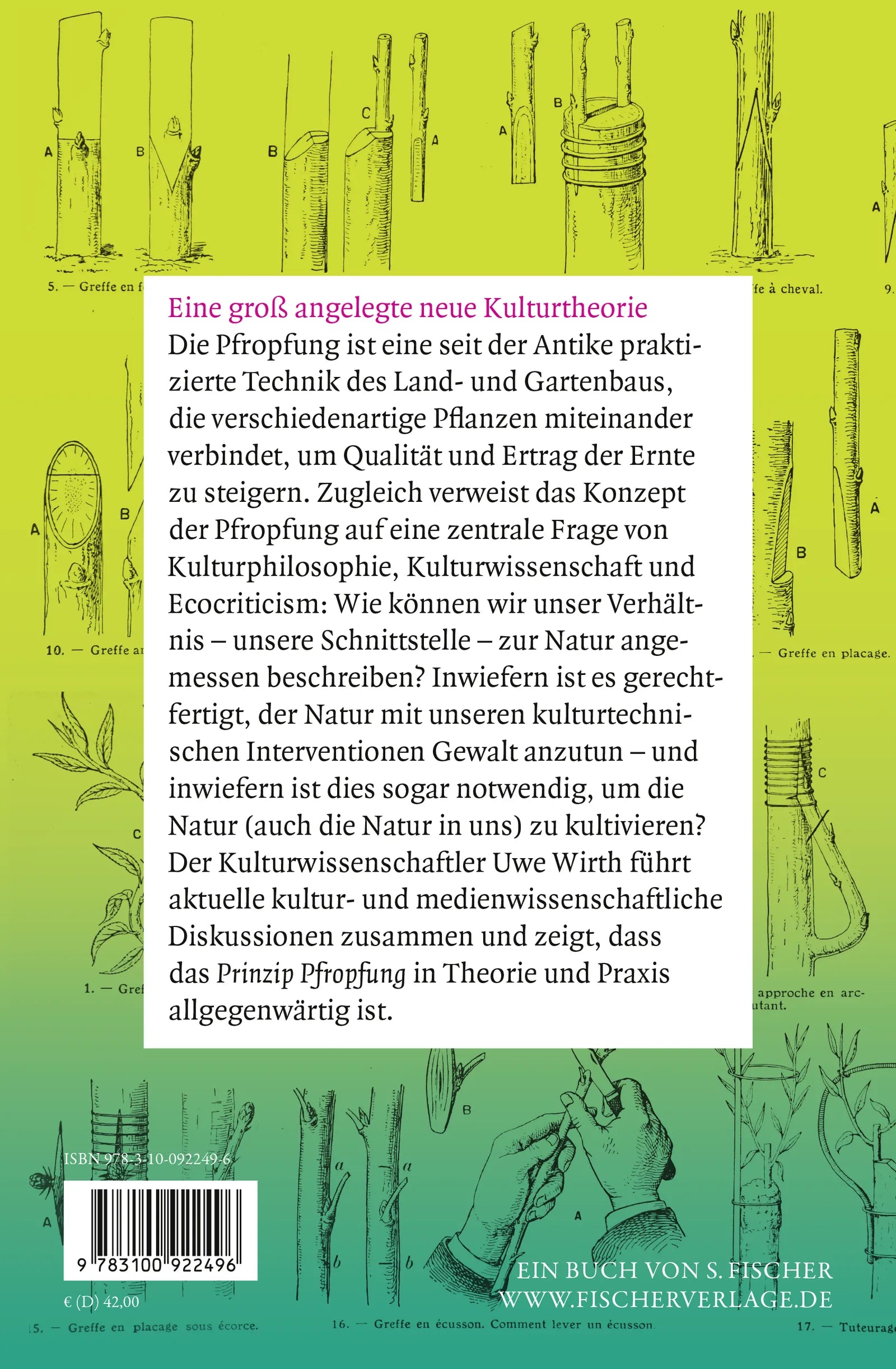 Buchrückseite von 'Pfropfung – Eine Theorie der Kultur' mit Klappentext - Gebundene Ausgabe