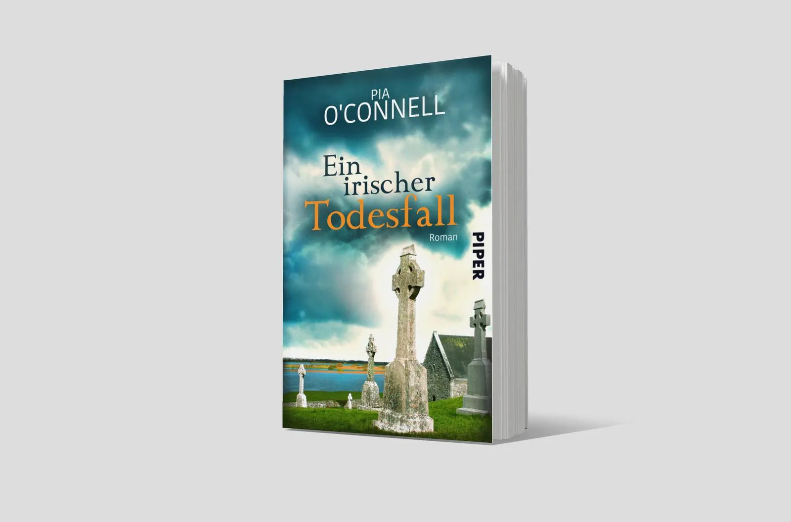 Produktansicht: Ein irischer Todesfall (Taschenbuch)