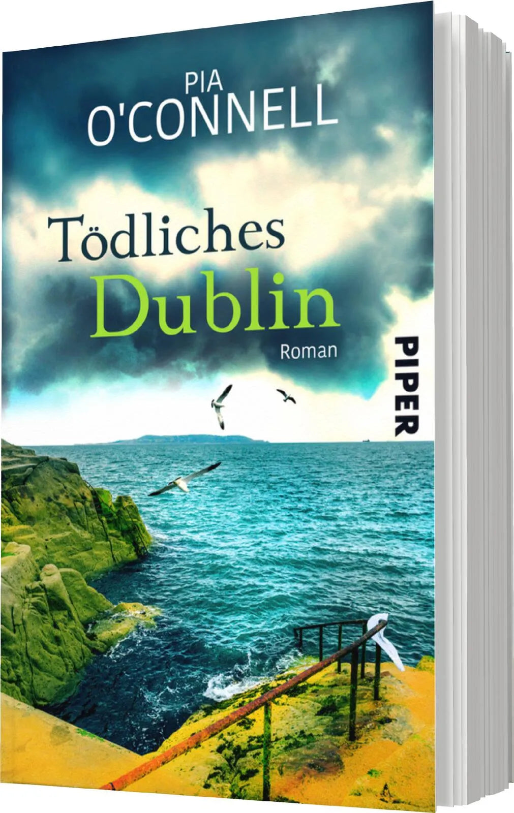 Produktansicht: Tödliches Dublin (Taschenbuch)