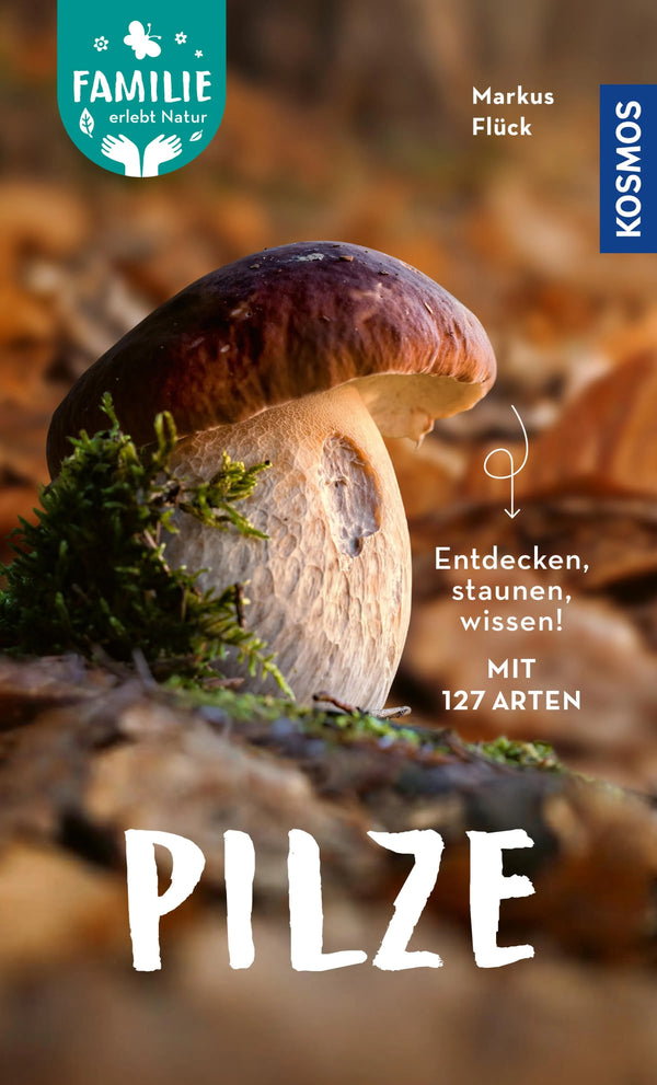Pilze