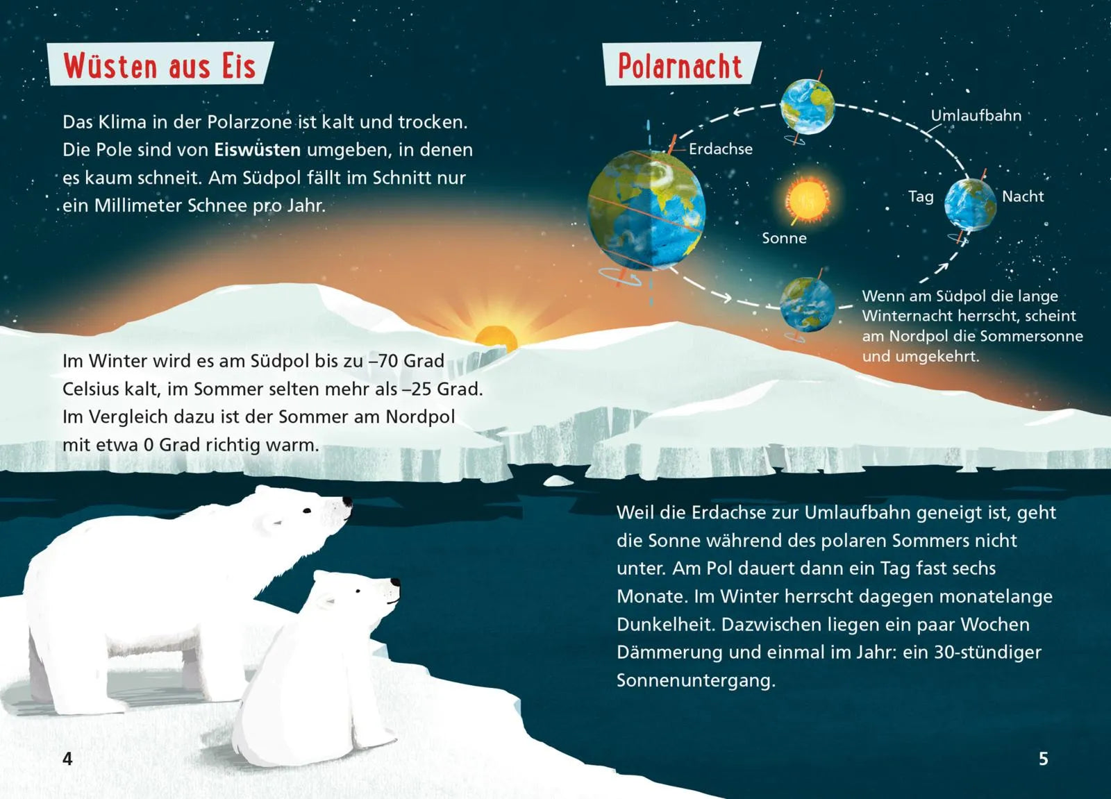 Produktansicht: Pixi Wissen 120: Arktis und Antarktis (Taschenbuch)