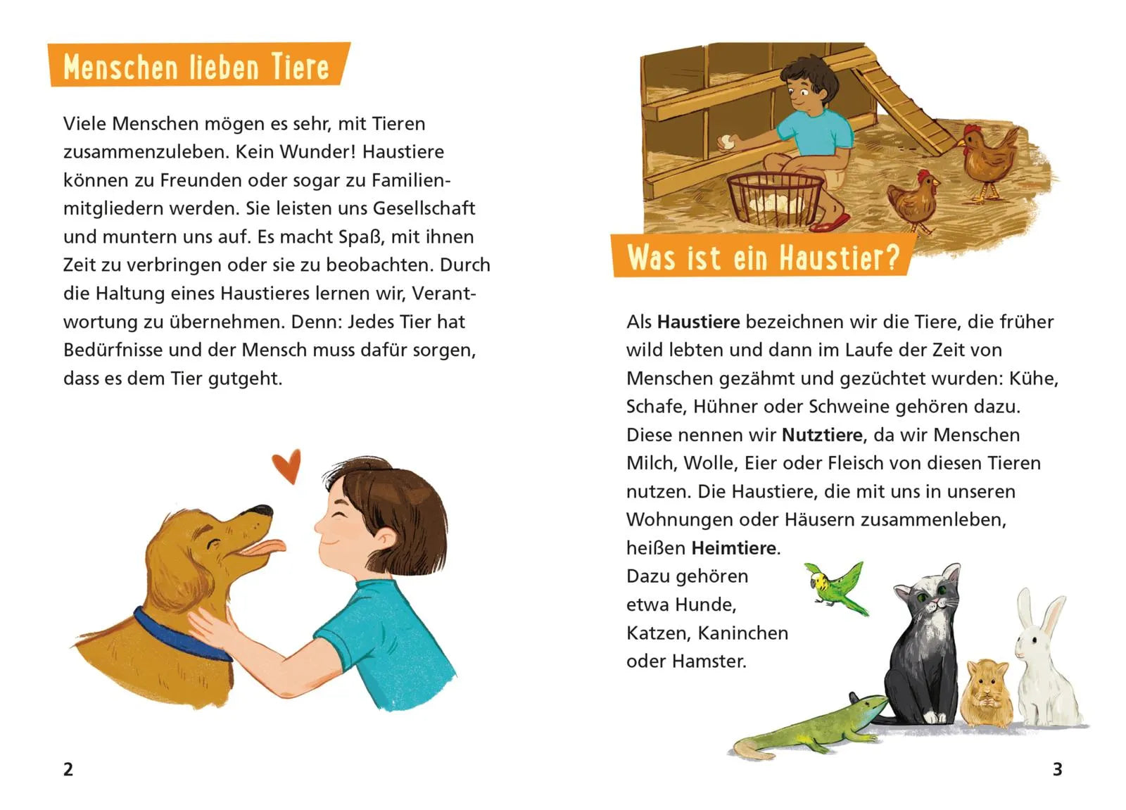 Detailansicht: Pixi Wissen 122: Haustiere (Taschenbuch)