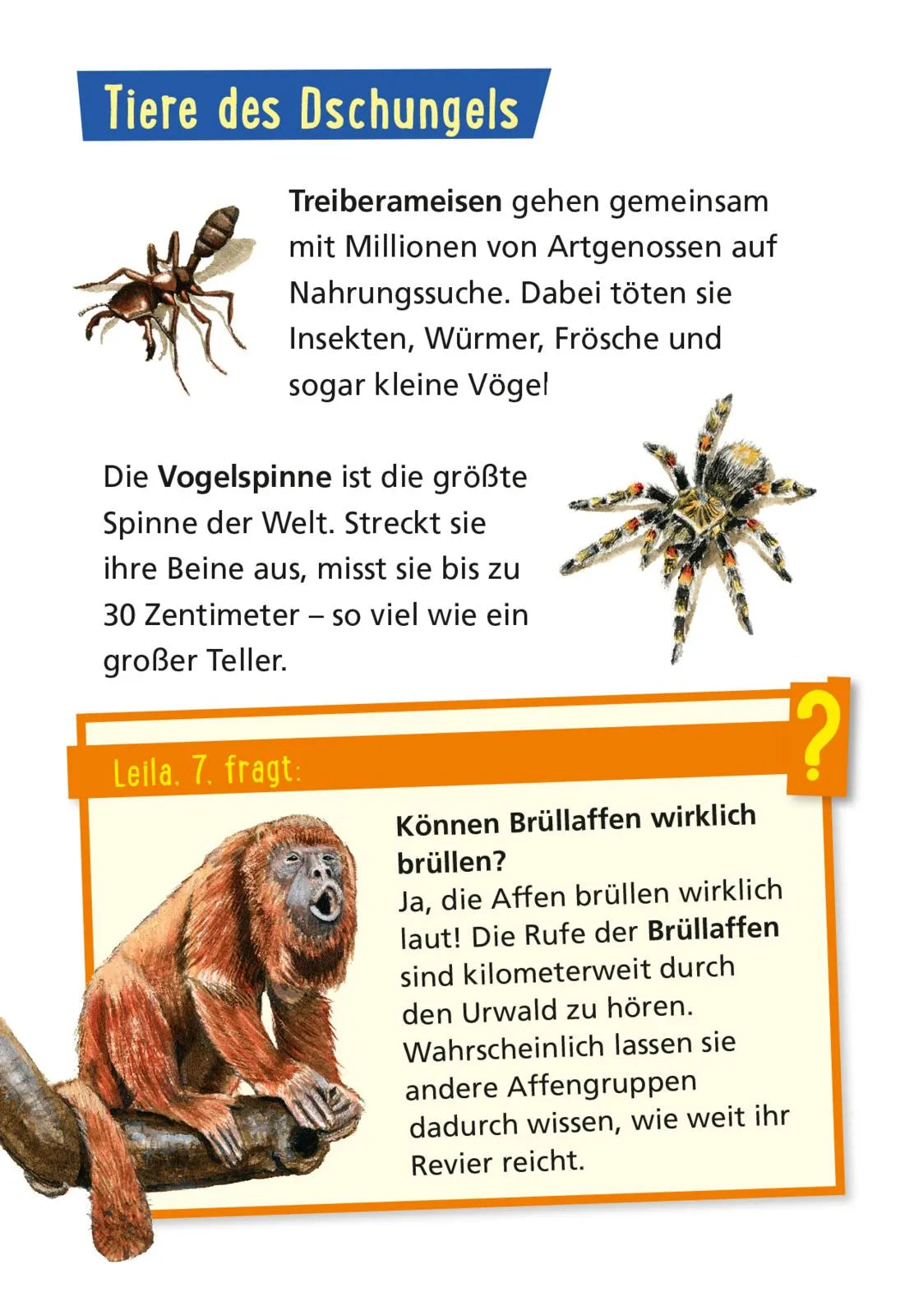 Produktansicht: Pixi Wissen 42: Tiere der Welt (Taschenbuch)