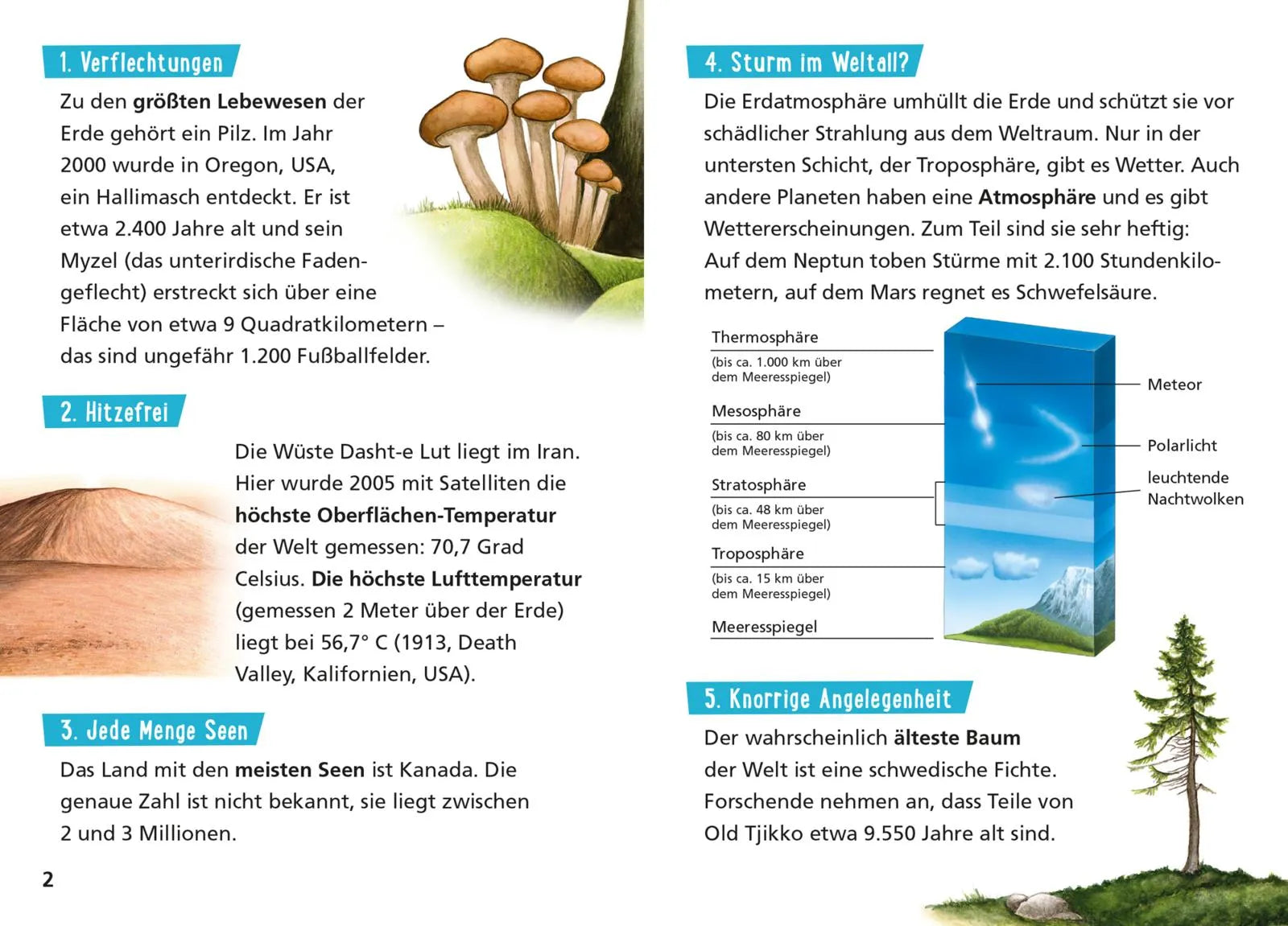 Detailansicht: Pixi Wissen 57: Die Erde. 100 erstaunliche Tatsachen (Taschenbuch)