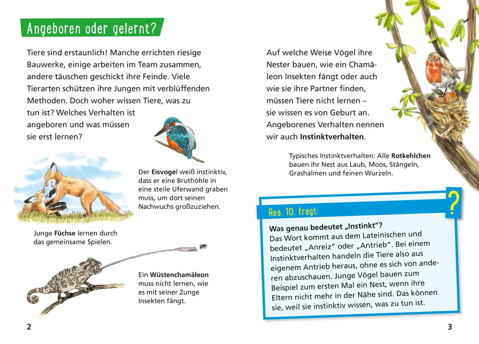 Christine Stahr - Pixi Wissen 75: Was Tiere können