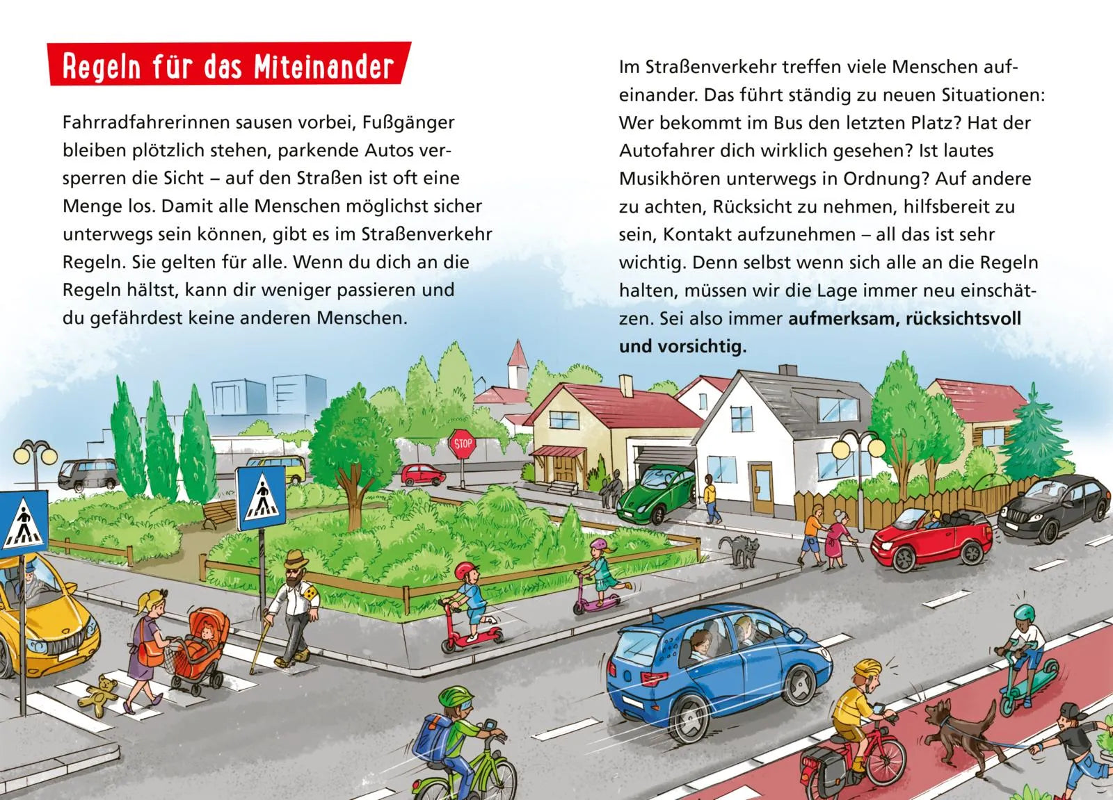 Abbildung von 'Pixi Wissen 80: Sicher im Straßenverkehr'