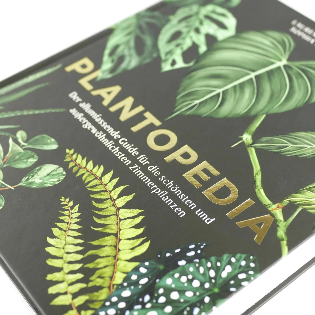 Detailansicht: Plantopedia (Hardcover)
