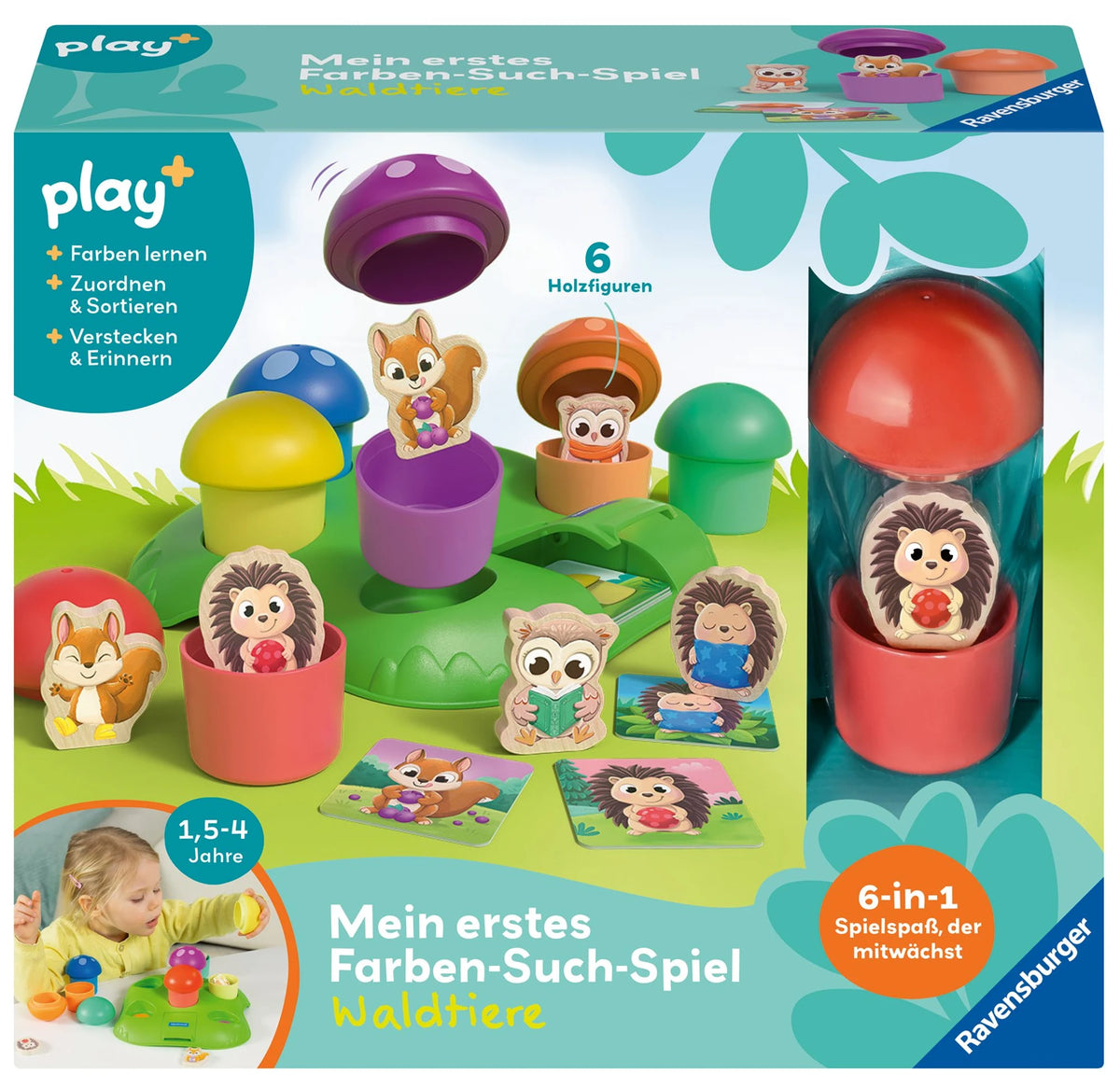 Würfelspiel: Play+ Mein erstes Farben-Suchspiel: Waldtiere - ab 1,5 Jahre