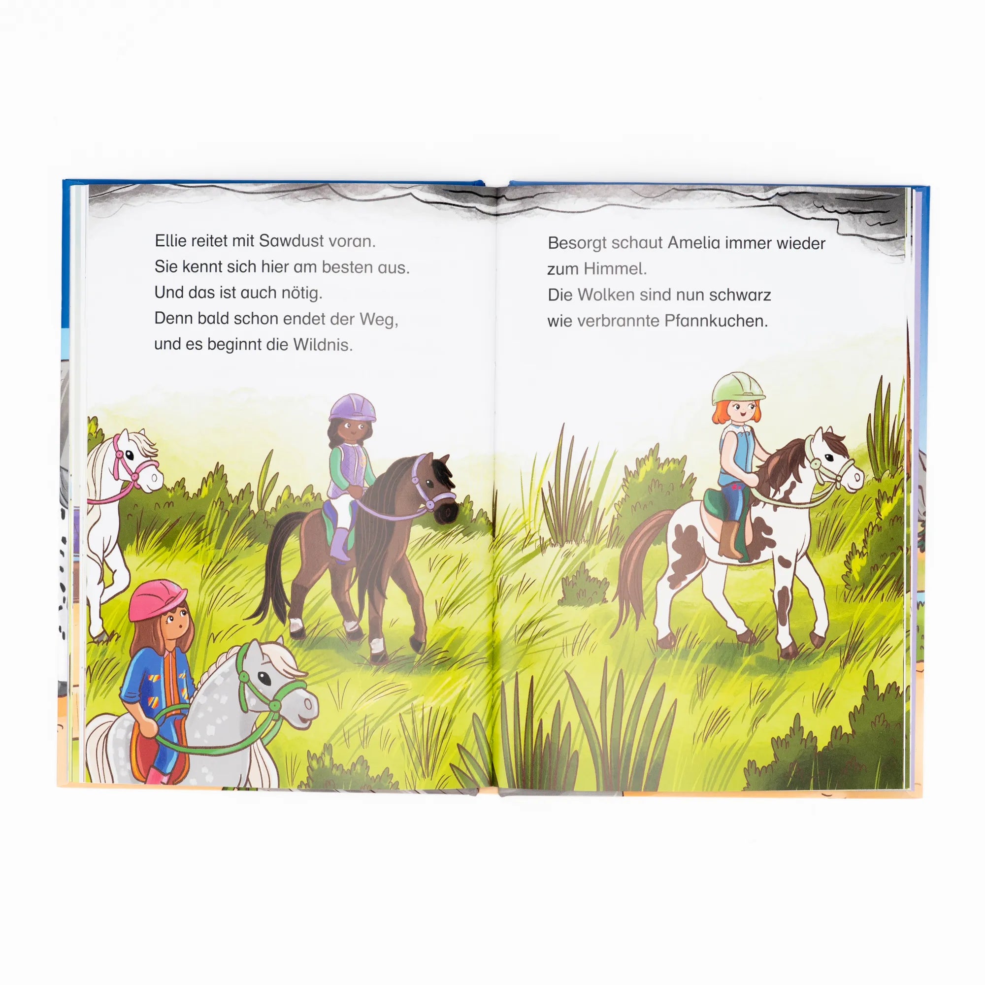 Abbildung von 'PLAYMOBIL Horses of Waterfall. Ein Fohlen beweist Mut'