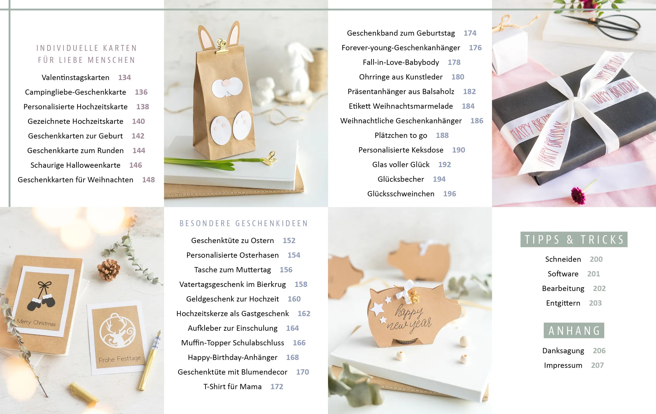 Innenansicht von 'Plotten leicht gemacht mit Cricut' - Gebundene Ausgabe