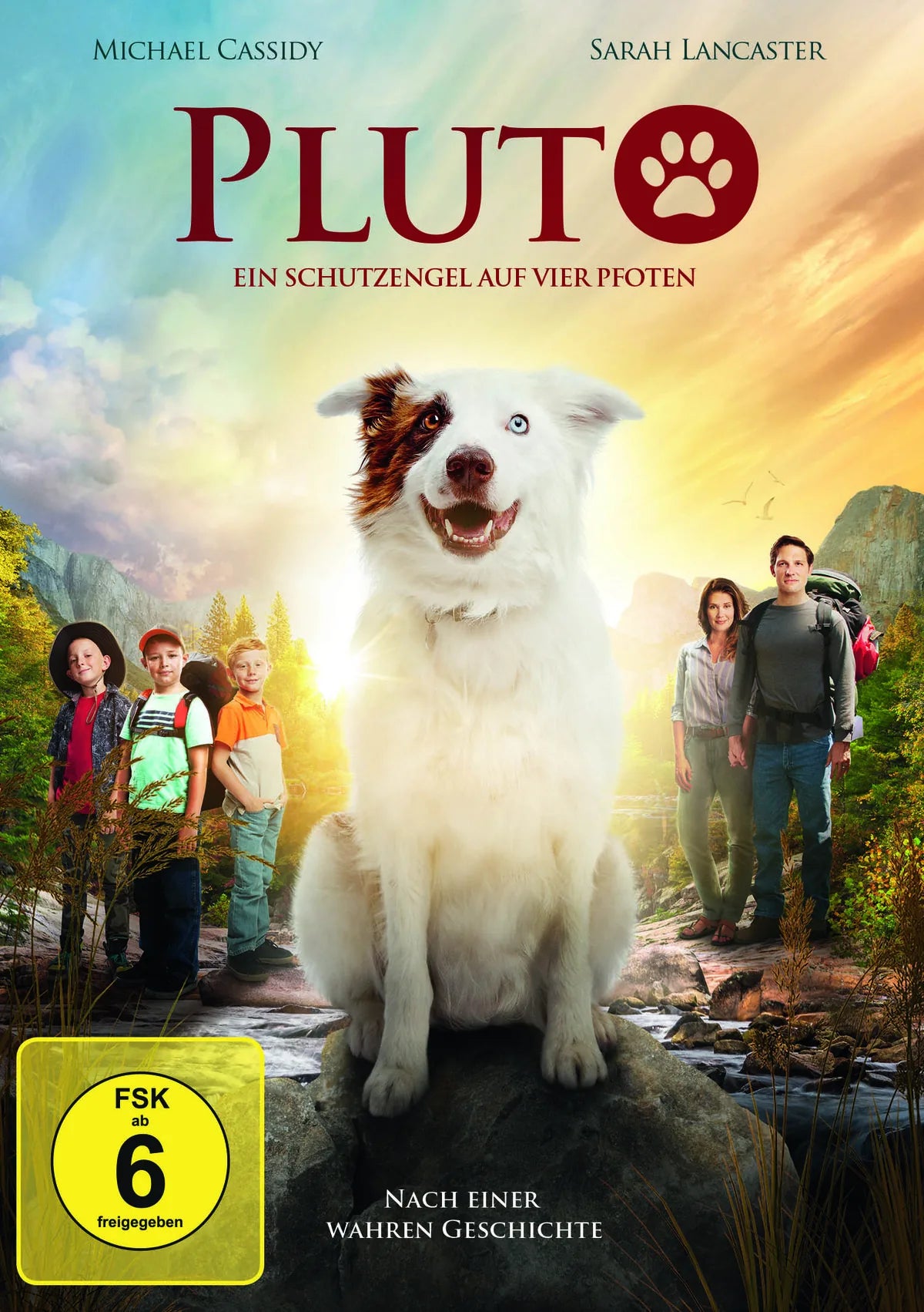 Pluto - Ein Schutzengel auf vier Pfoten - DVD