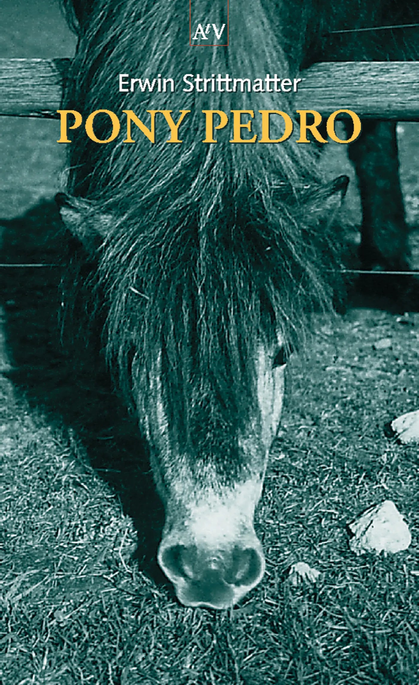 Buchcover von 'Pony Pedro' - Taschenbuch von Erwin Strittmatter