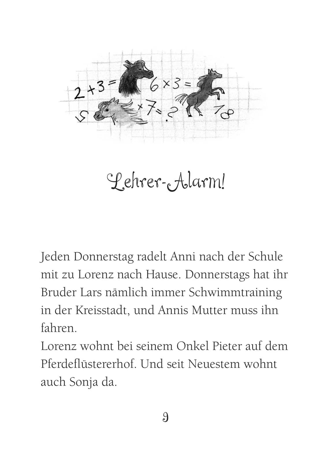 Usch Luhn - Ponyherz 14: Ponyherz im Sturm