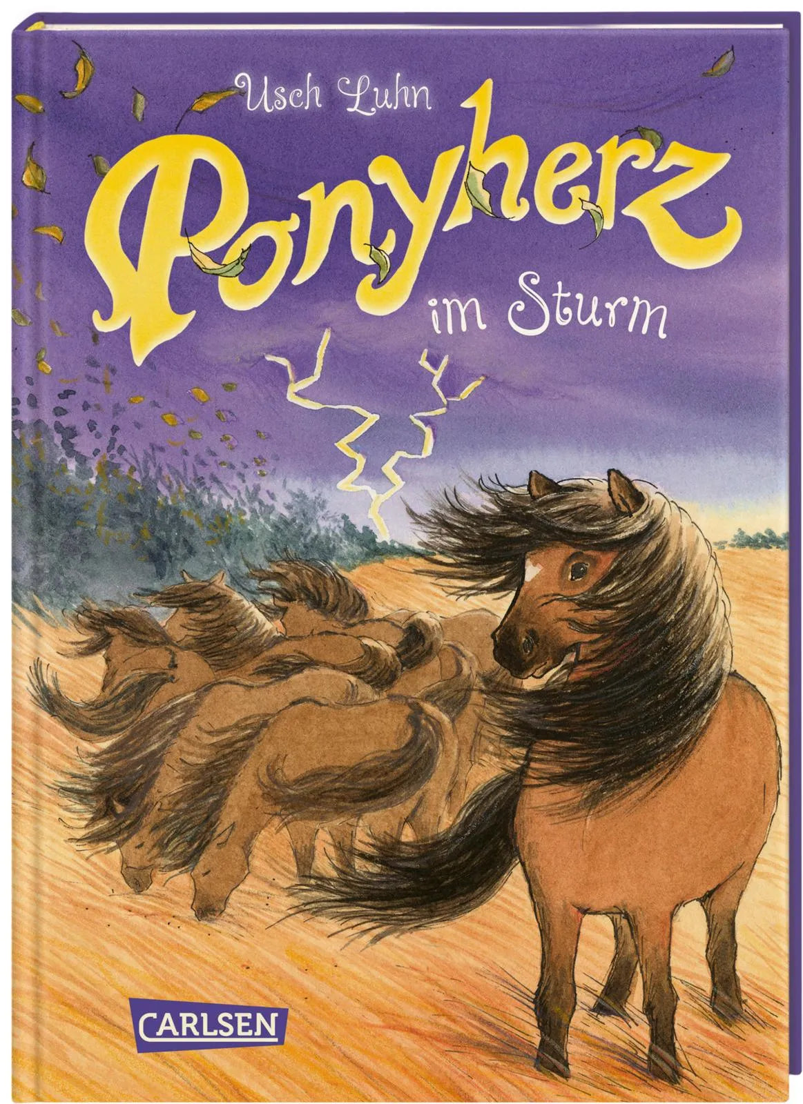Buchcover von 'Ponyherz 14: Ponyherz im Sturm' - Gebundene Ausgabe von Usch Luhn