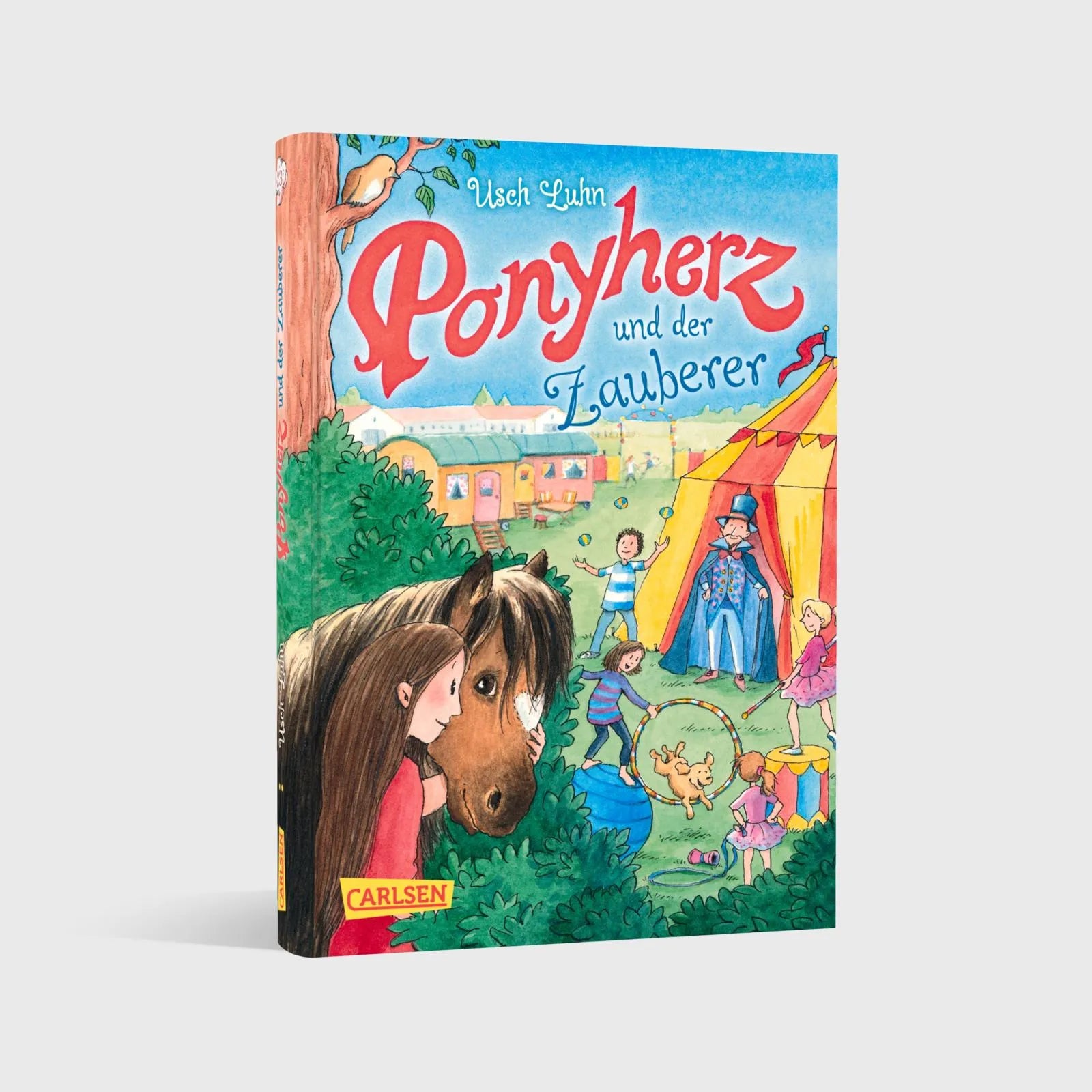 Usch Luhn - Ponyherz 23: Ponyherz und der Zauberer