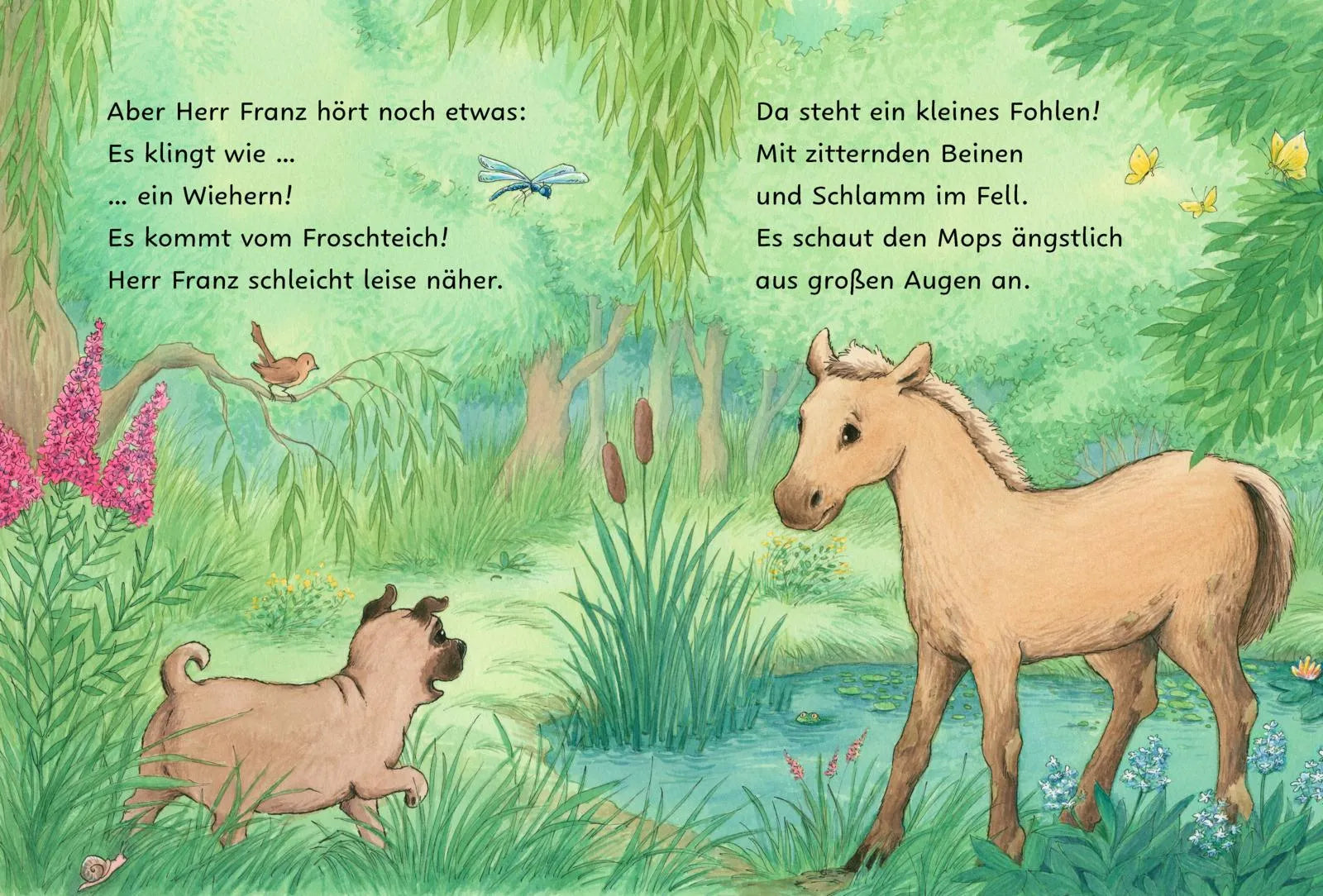Usch Luhn - Ponyherz und Herr Franz: Kleines Fohlen, großer Held