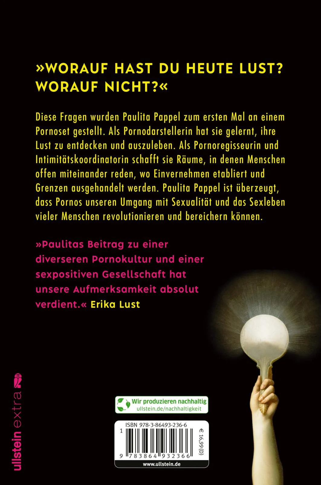 Buchrückseite von 'Pornopositiv' mit Klappentext - Paperback