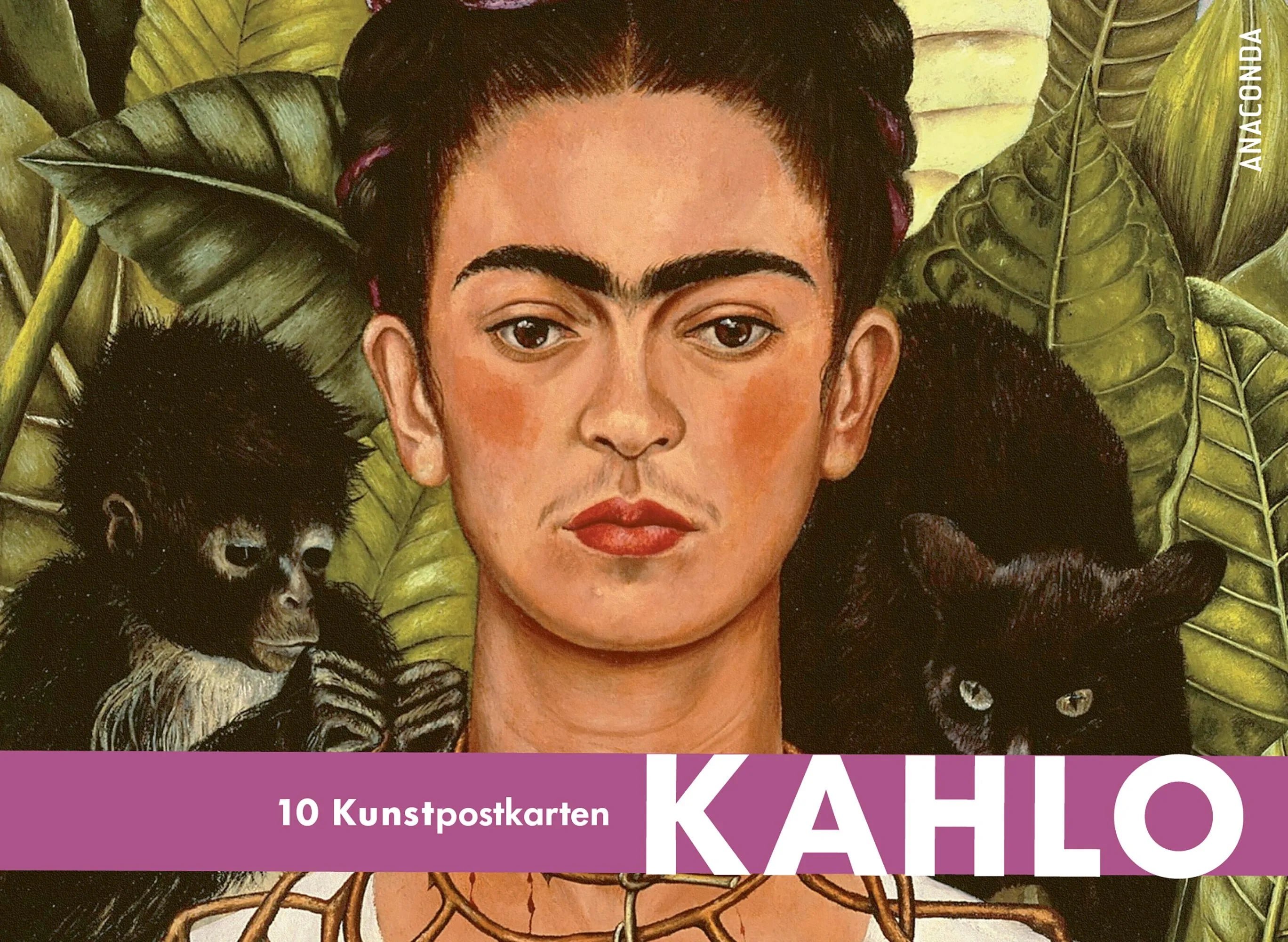 Cover: Postkarten Großformat Frida Kahlo (Taschenbuch)