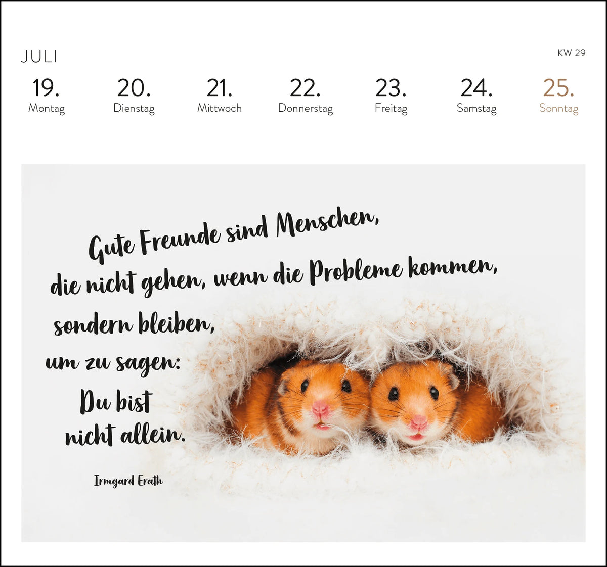 Postkartenkalender 2027: Eine kleine Umarmung für jeden Tag – Ansicht