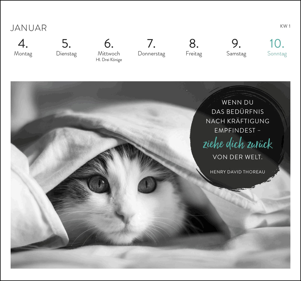 Postkartenkalender 2027: Inspirierende Worte für Katzenfreunde – Ansicht