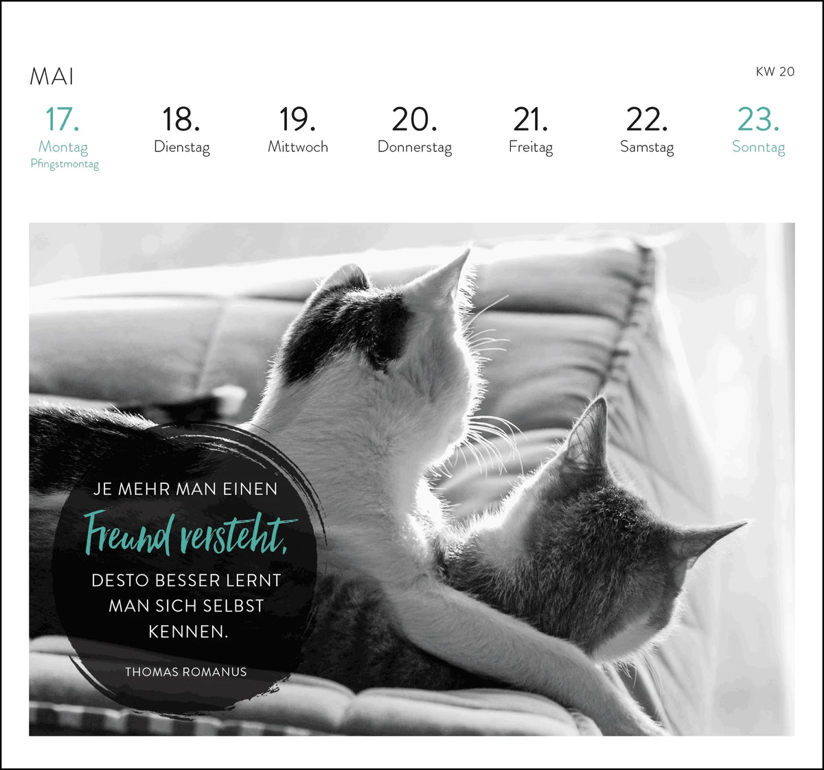 Postkartenkalender 2027: Inspirierende Worte für Katzenfreunde – Ansicht