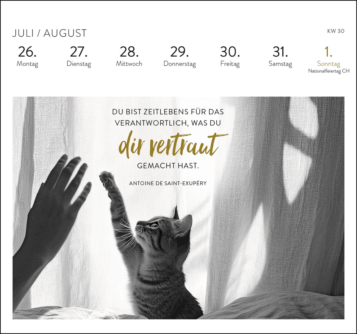Postkartenkalender 2027: Inspirierende Worte für Katzenfreunde – Ansicht