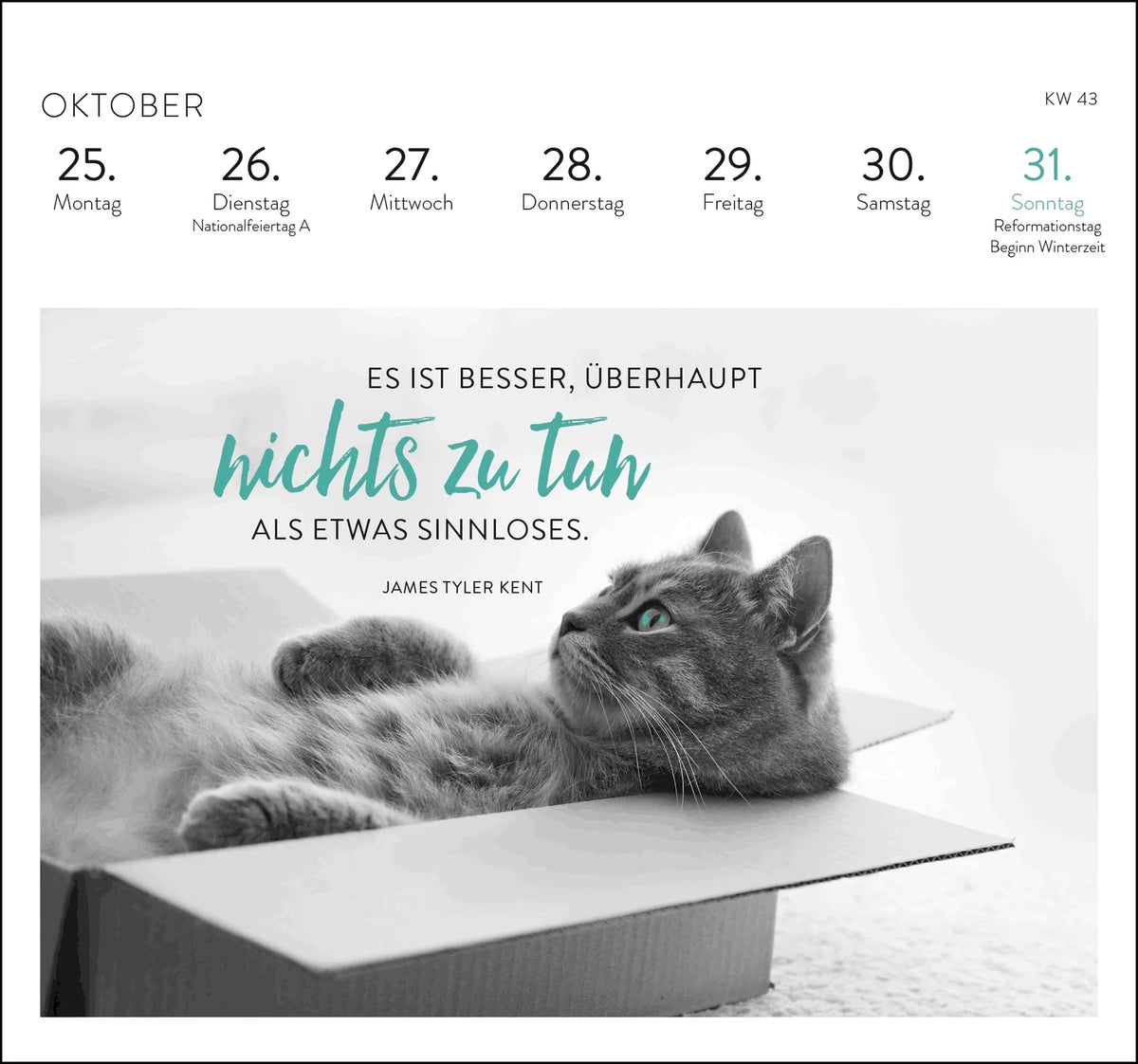Postkartenkalender 2027: Inspirierende Worte für Katzenfreunde – Ansicht