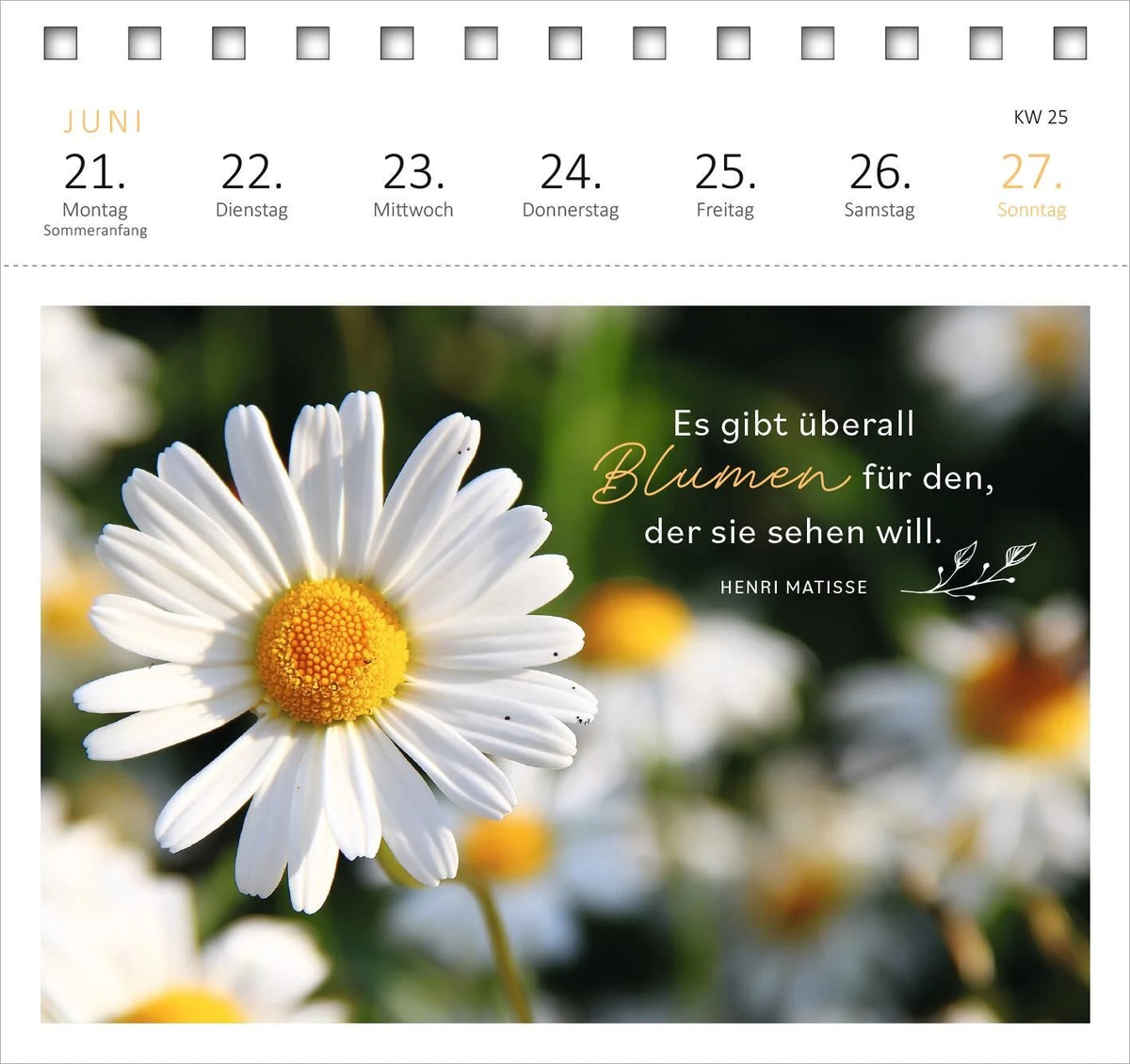 Postkartenkalender 365 Tage Sonne im Herzen 2027 – Ansicht