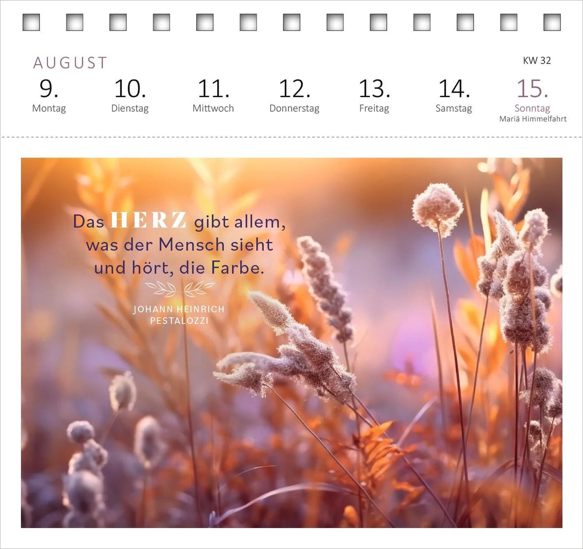 Postkartenkalender 365 Tage Sonne im Herzen 2027 – Ansicht