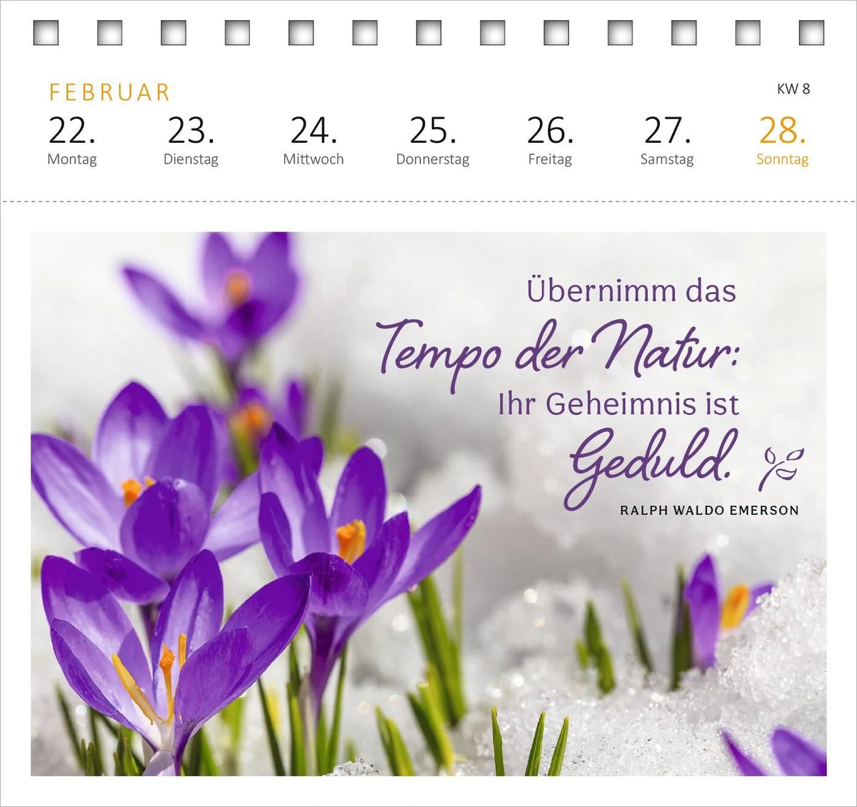Postkartenkalender Gartenglück 2027 – Ansicht