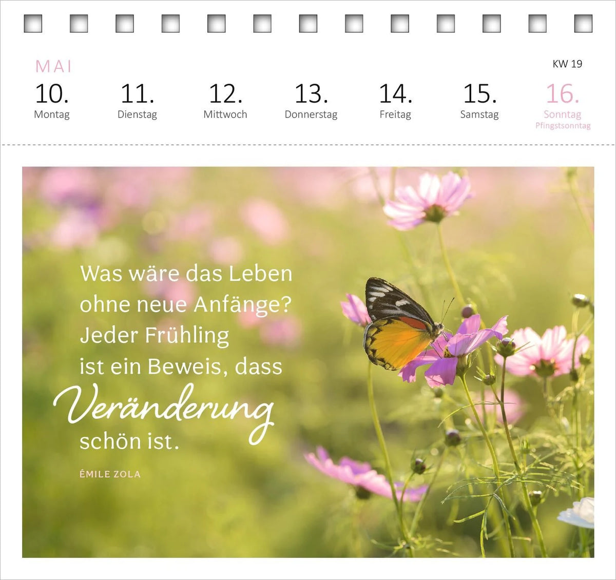 Postkartenkalender Gartenglück 2027 – Ansicht