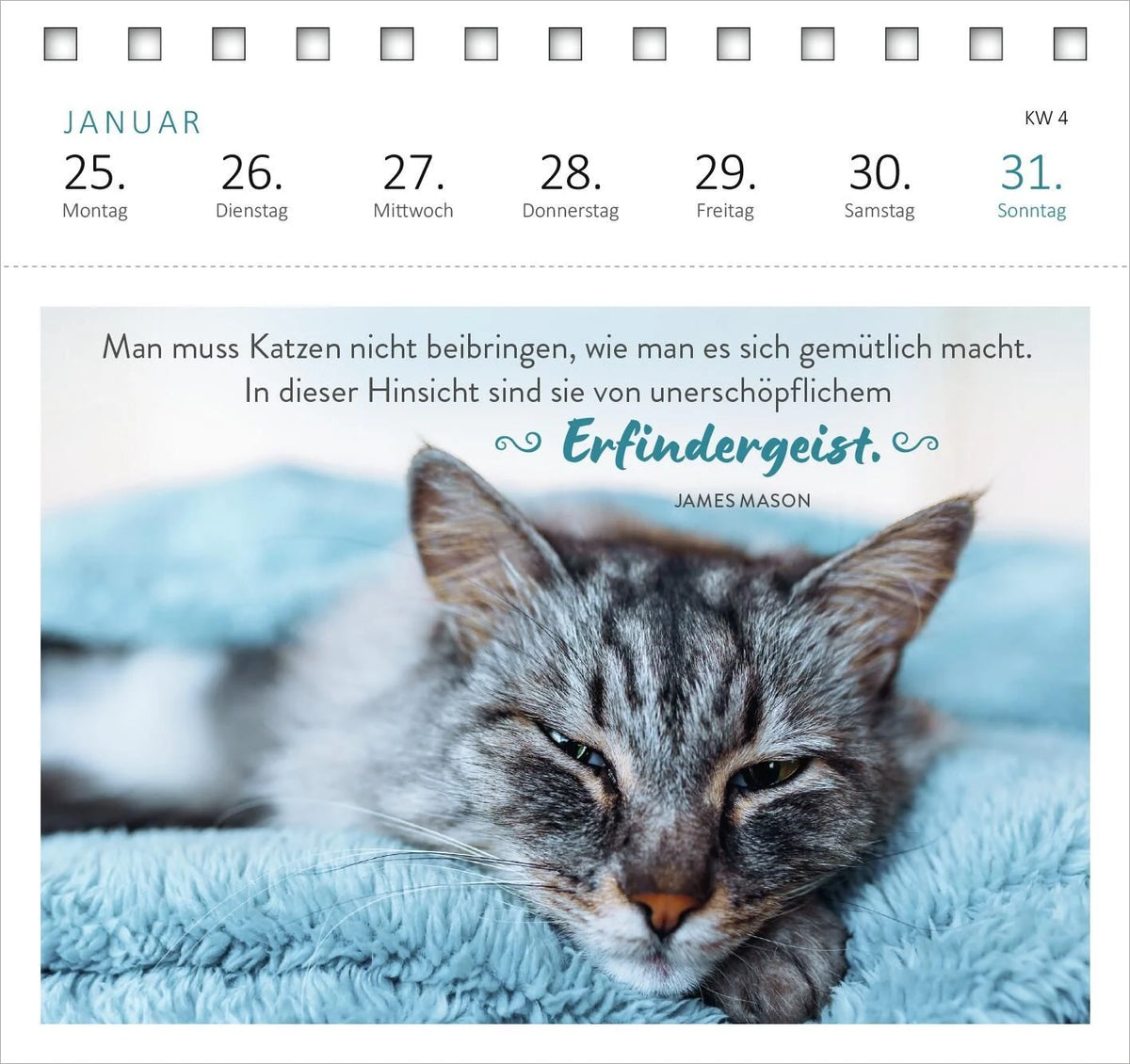 Postkartenkalender Katzenweisheiten 2027 – Ansicht