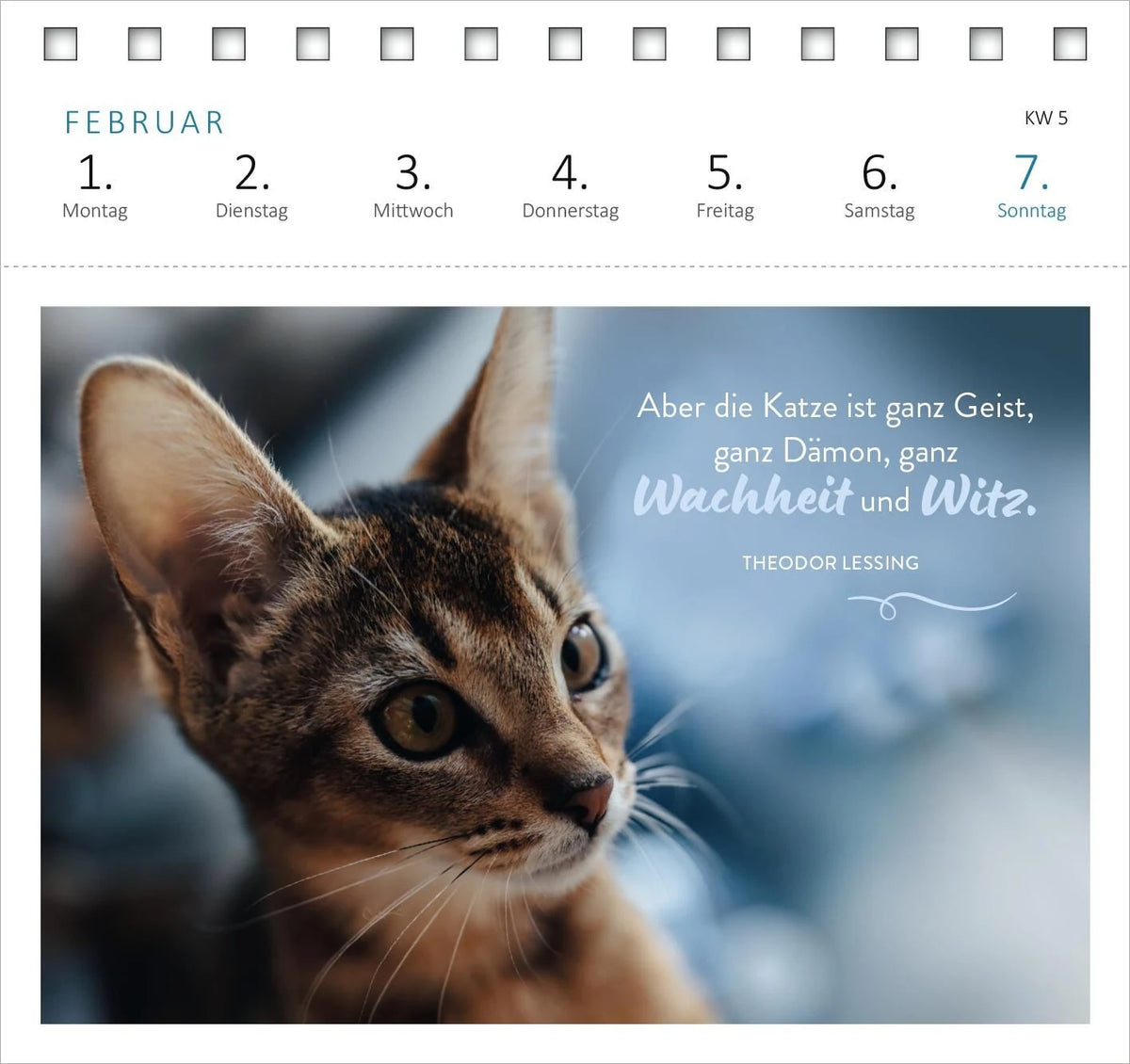 Postkartenkalender Katzenweisheiten 2027 – Ansicht