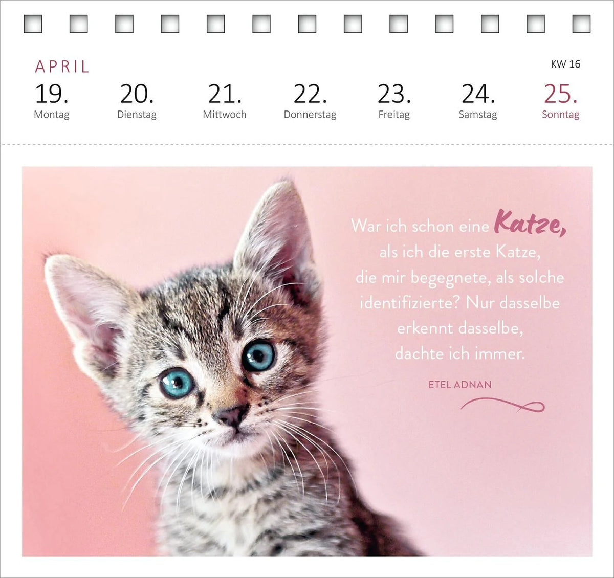 Postkartenkalender Katzenweisheiten 2027 – Ansicht