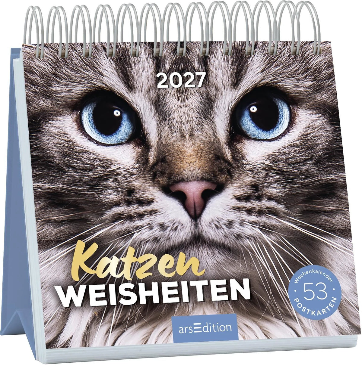 Postkartenkalender: Postkartenkalender Katzenweisheiten 2027