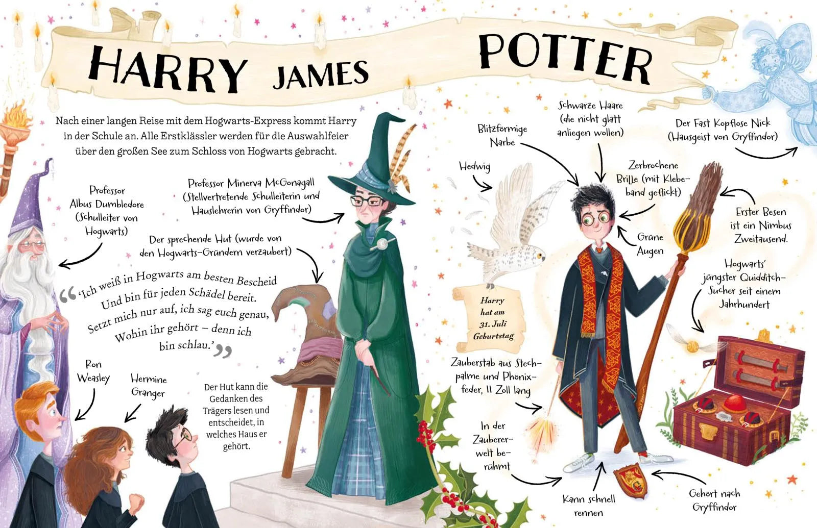 Detailansicht: Potter Guides: Harry Potter (Hardcover)