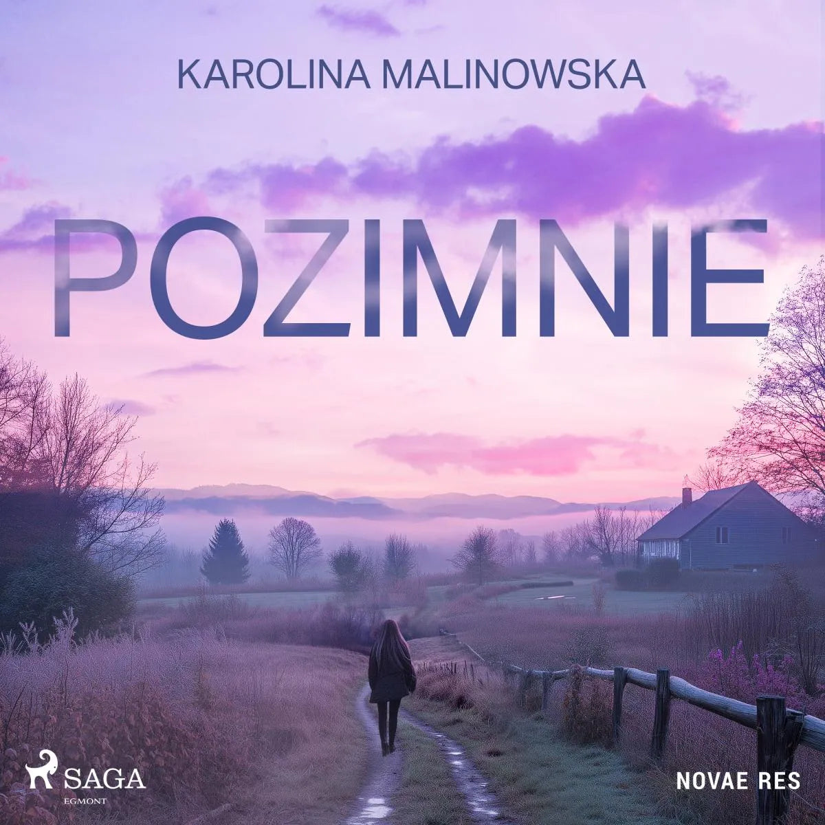 Cover: Pozimnie (Hörbuch Download) von Karolina Malinowska