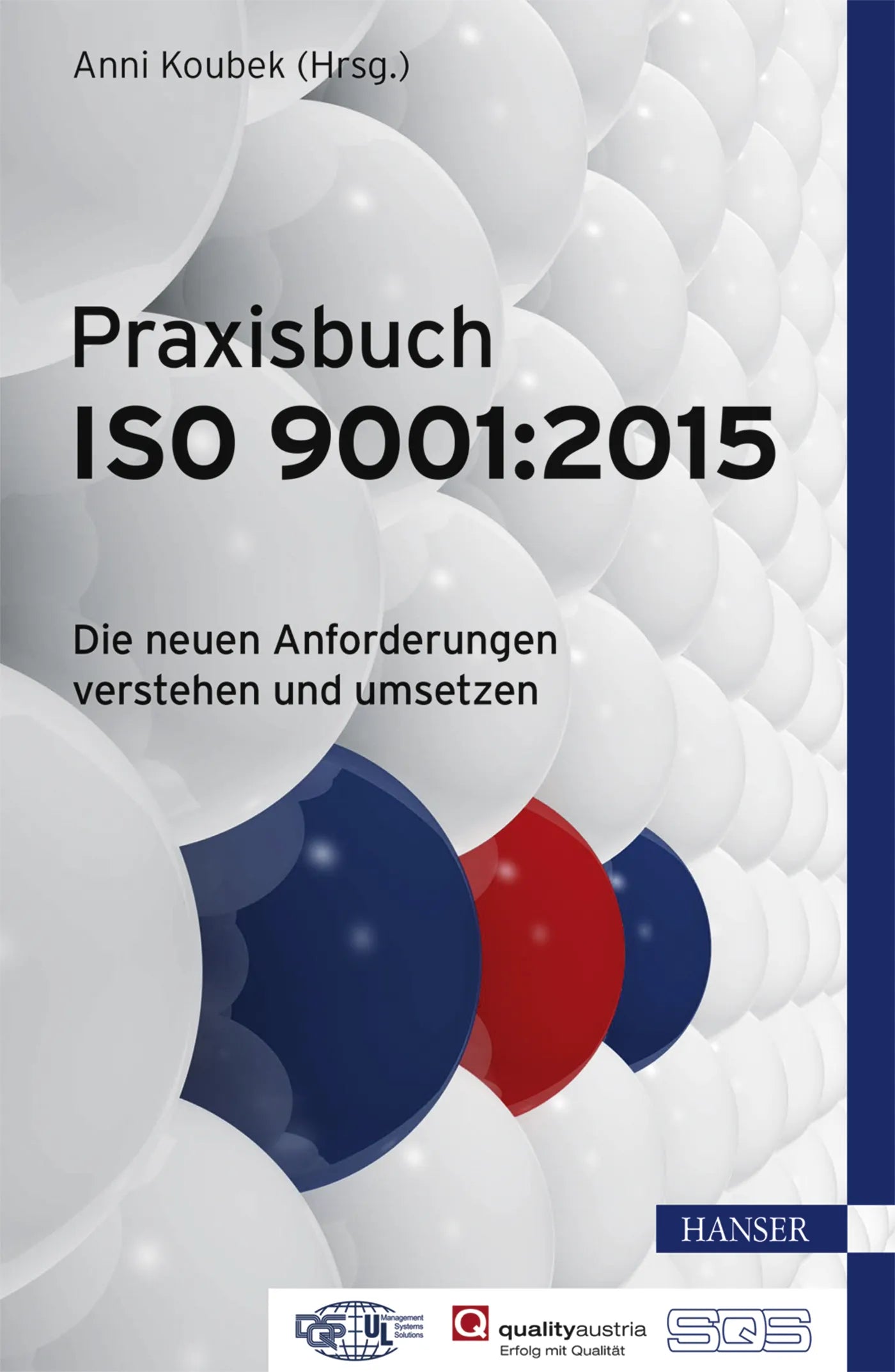 Buchcover von 'Praxisbuch ISO 9001:2015' - Gebundene Ausgabe von Anni Koubek