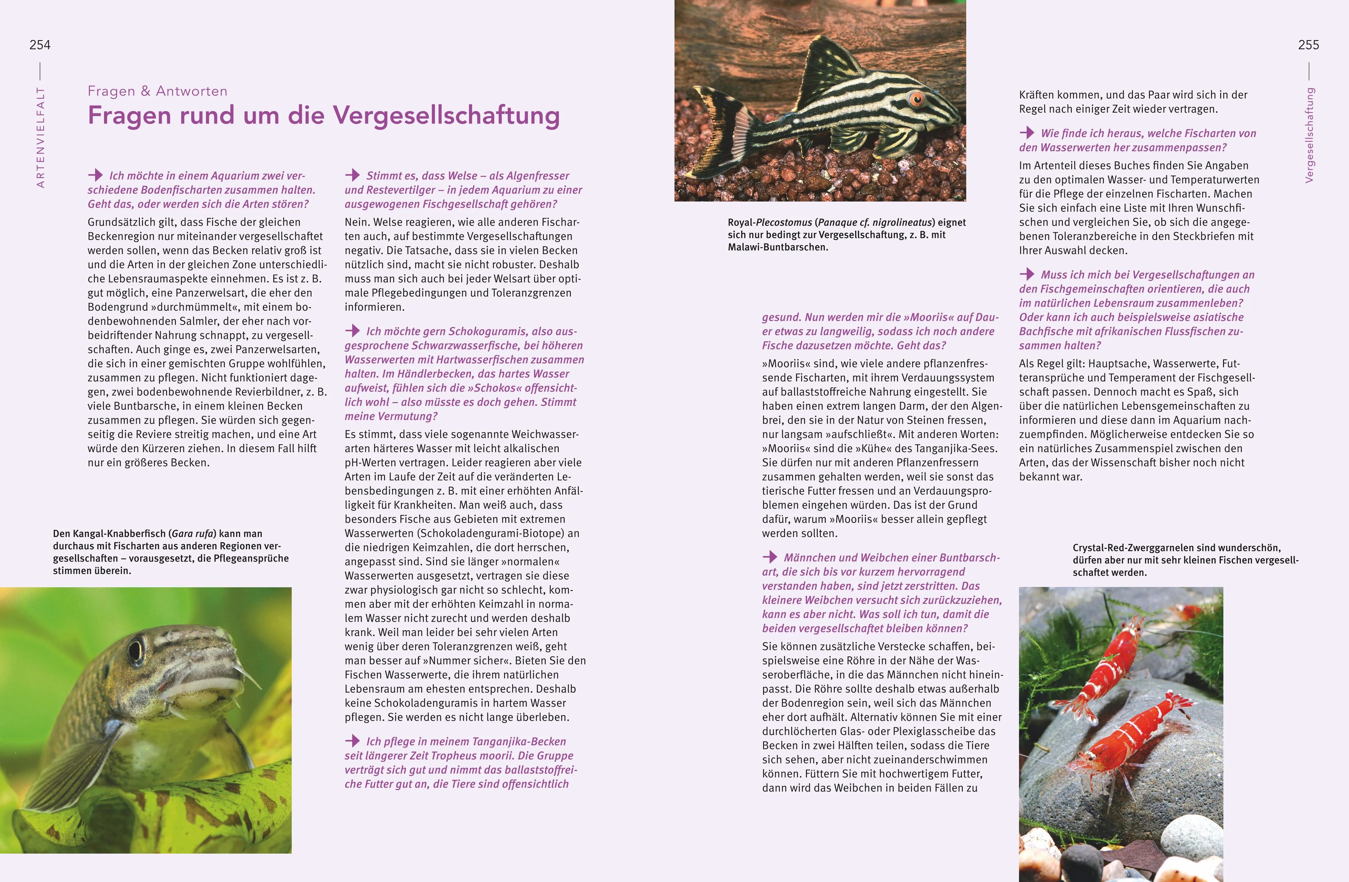 Ulrich Schliewen - Praxishandbuch Aquarium
