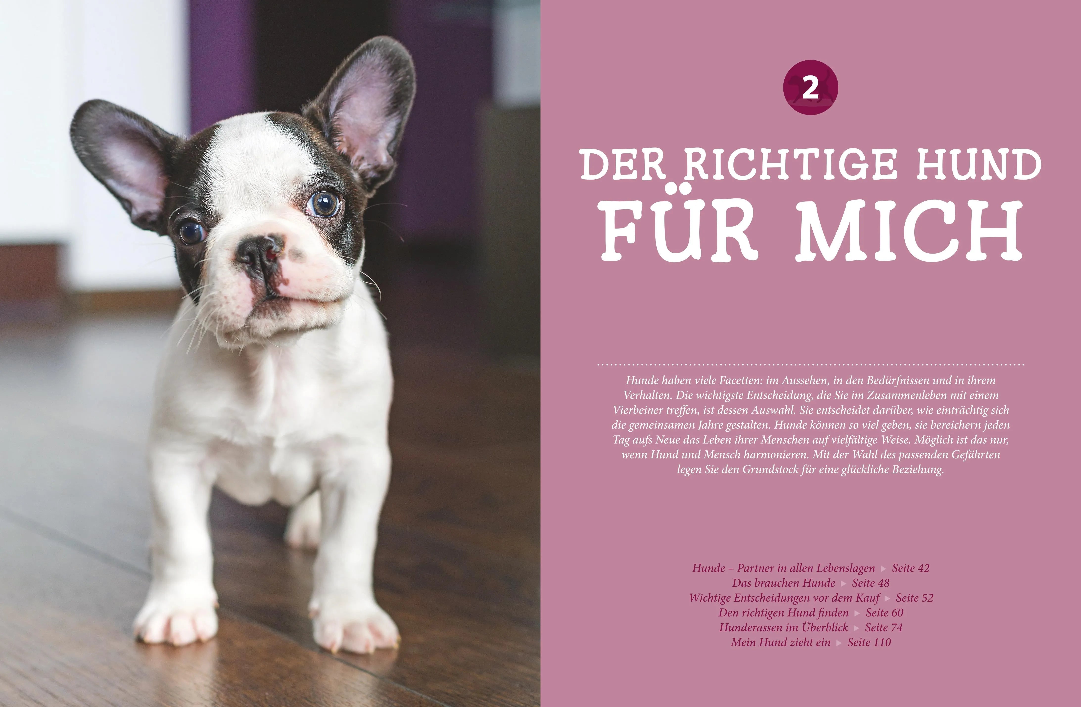 Abbildung von 'Praxishandbuch Hunde'