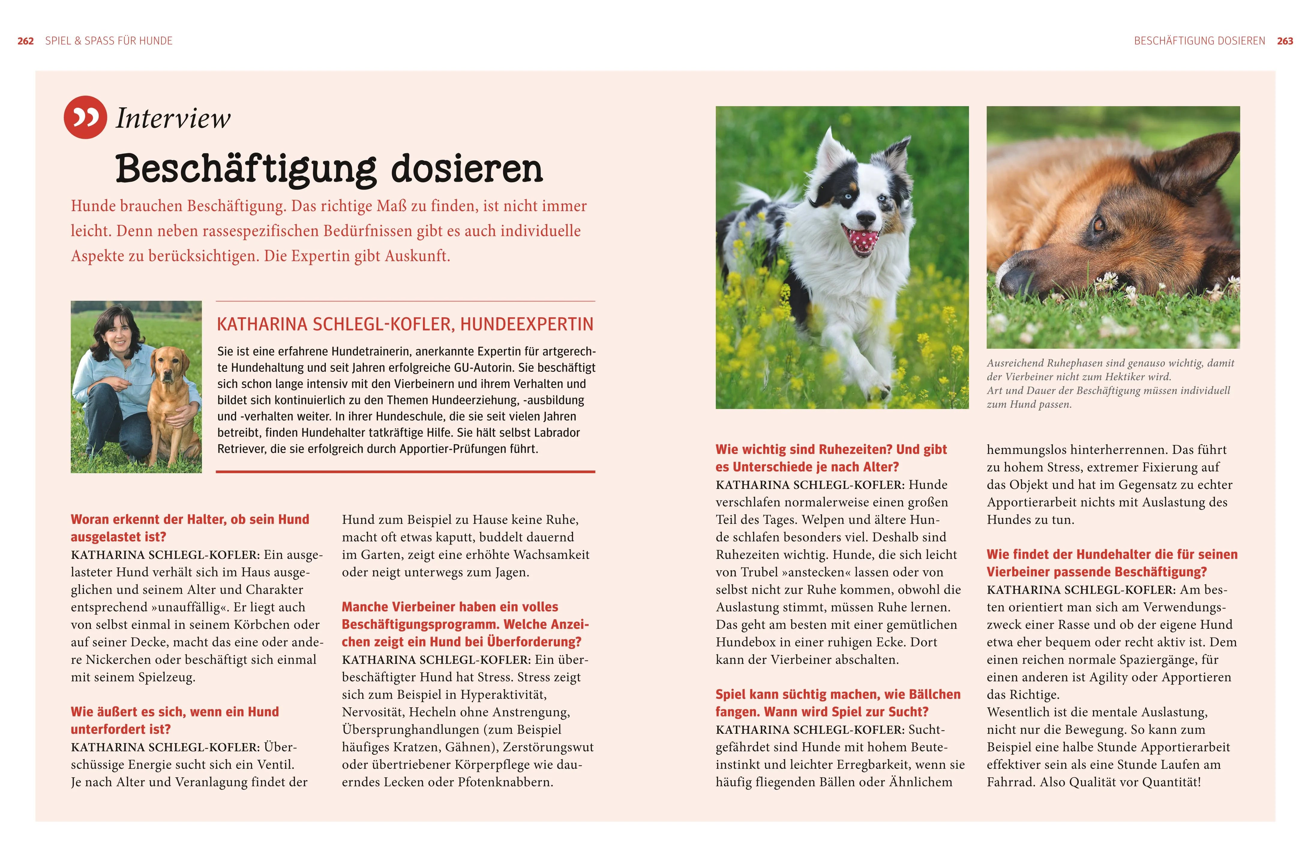 Produktansicht: Praxishandbuch Hunde (Gebundene Ausgabe)